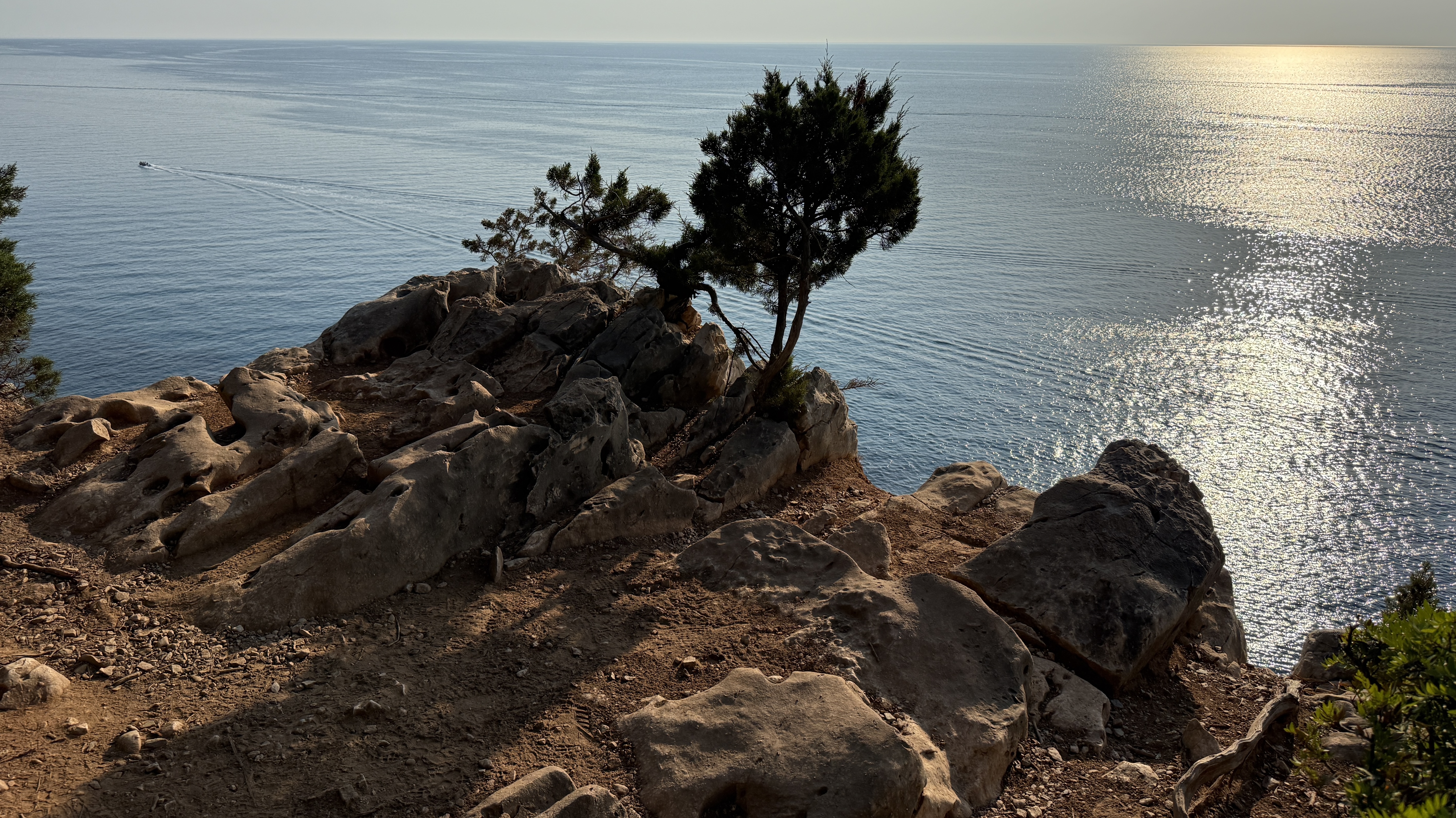 photo of nature