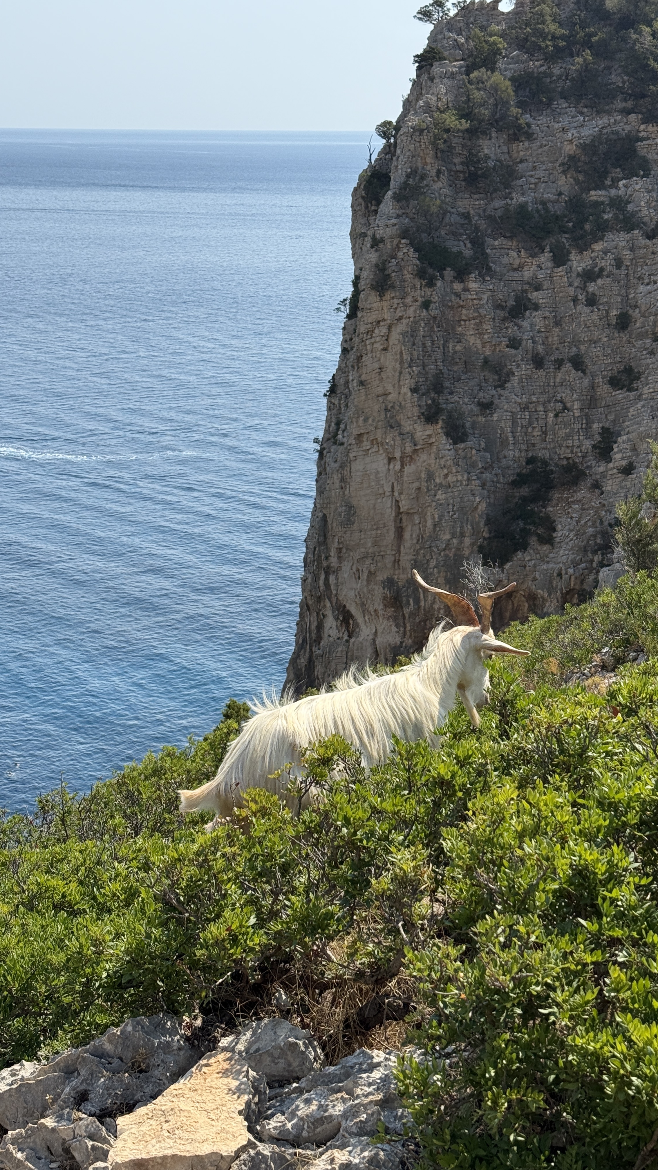 photo of nature
