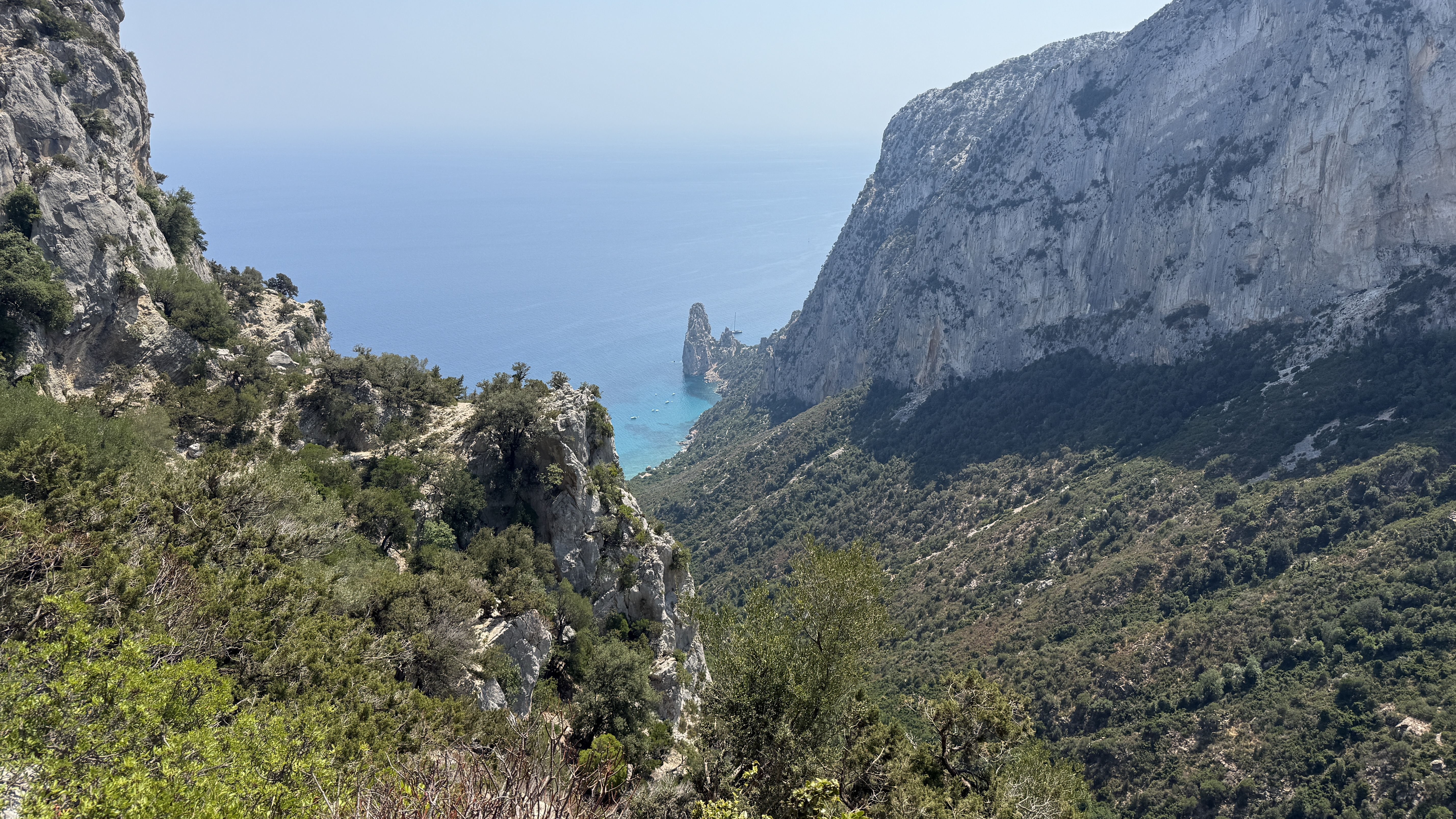 photo of nature
