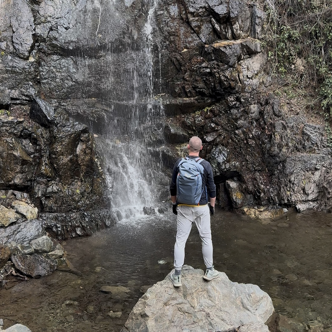 photo of nature