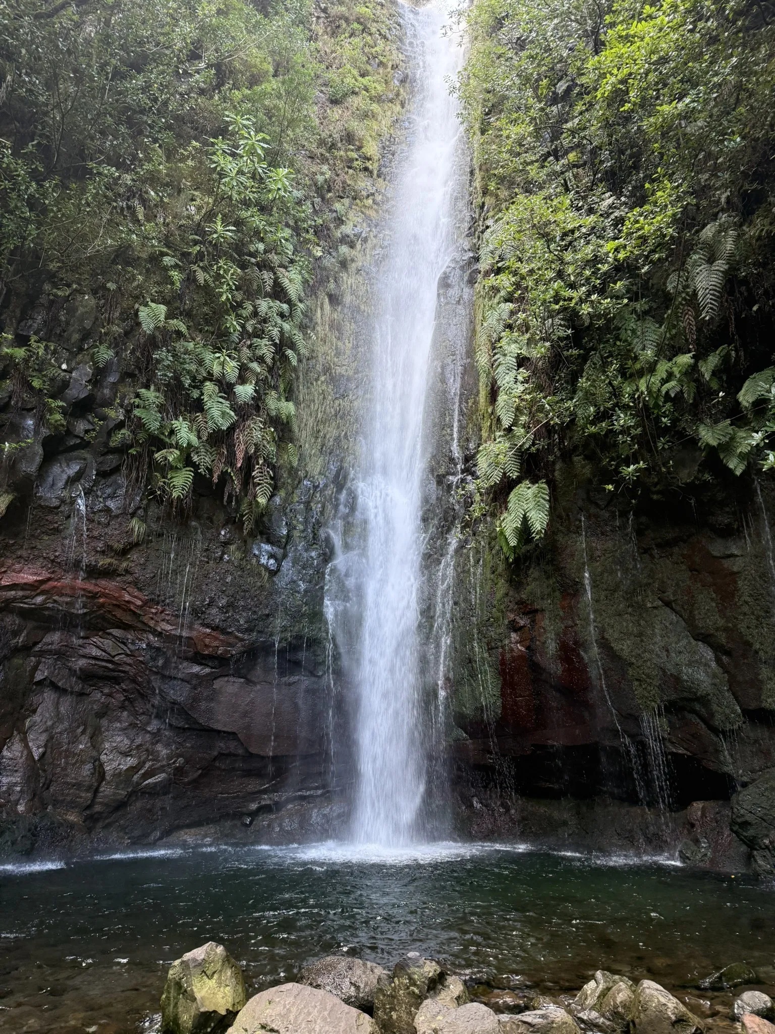 photo of nature