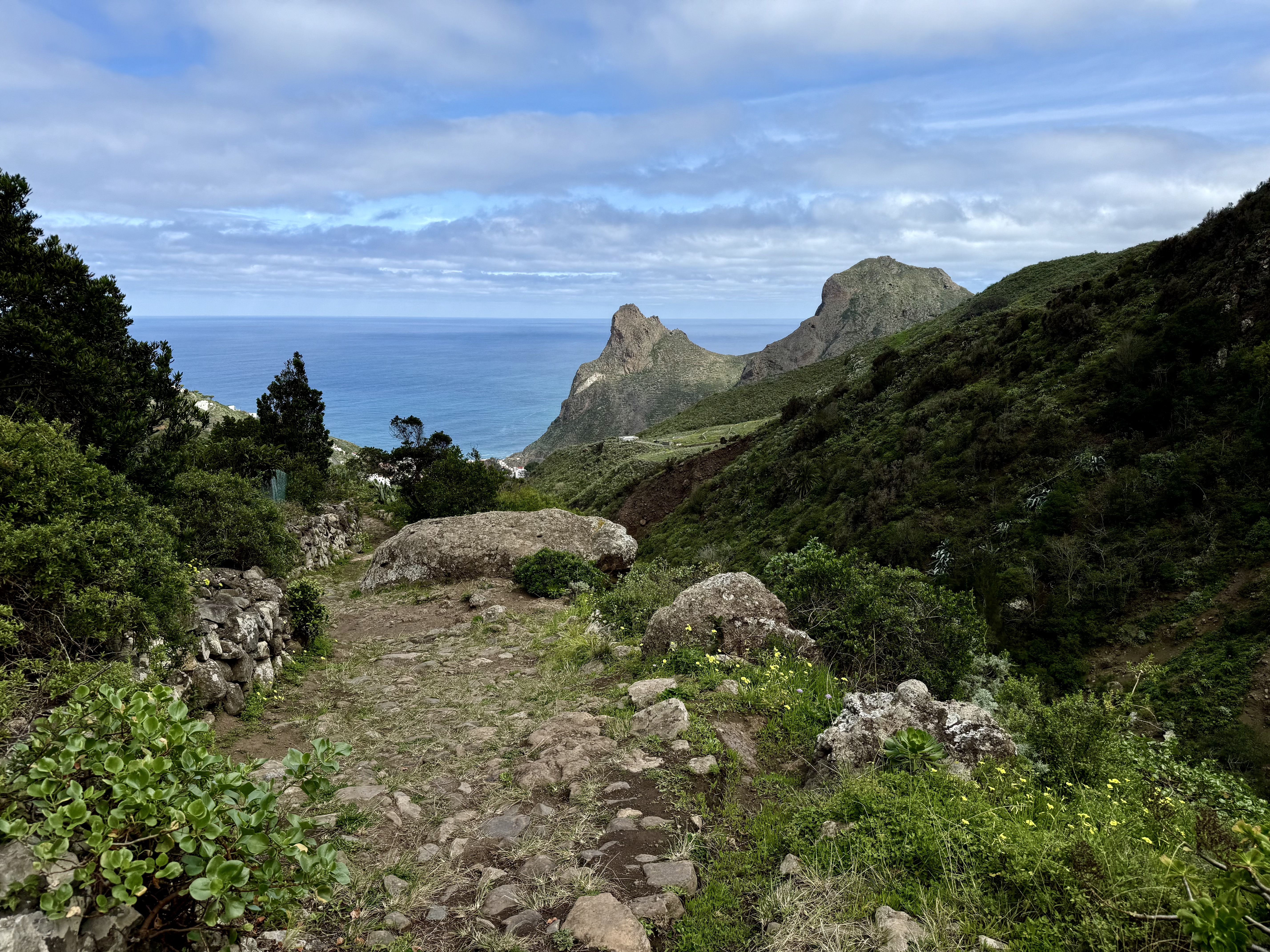 photo of nature