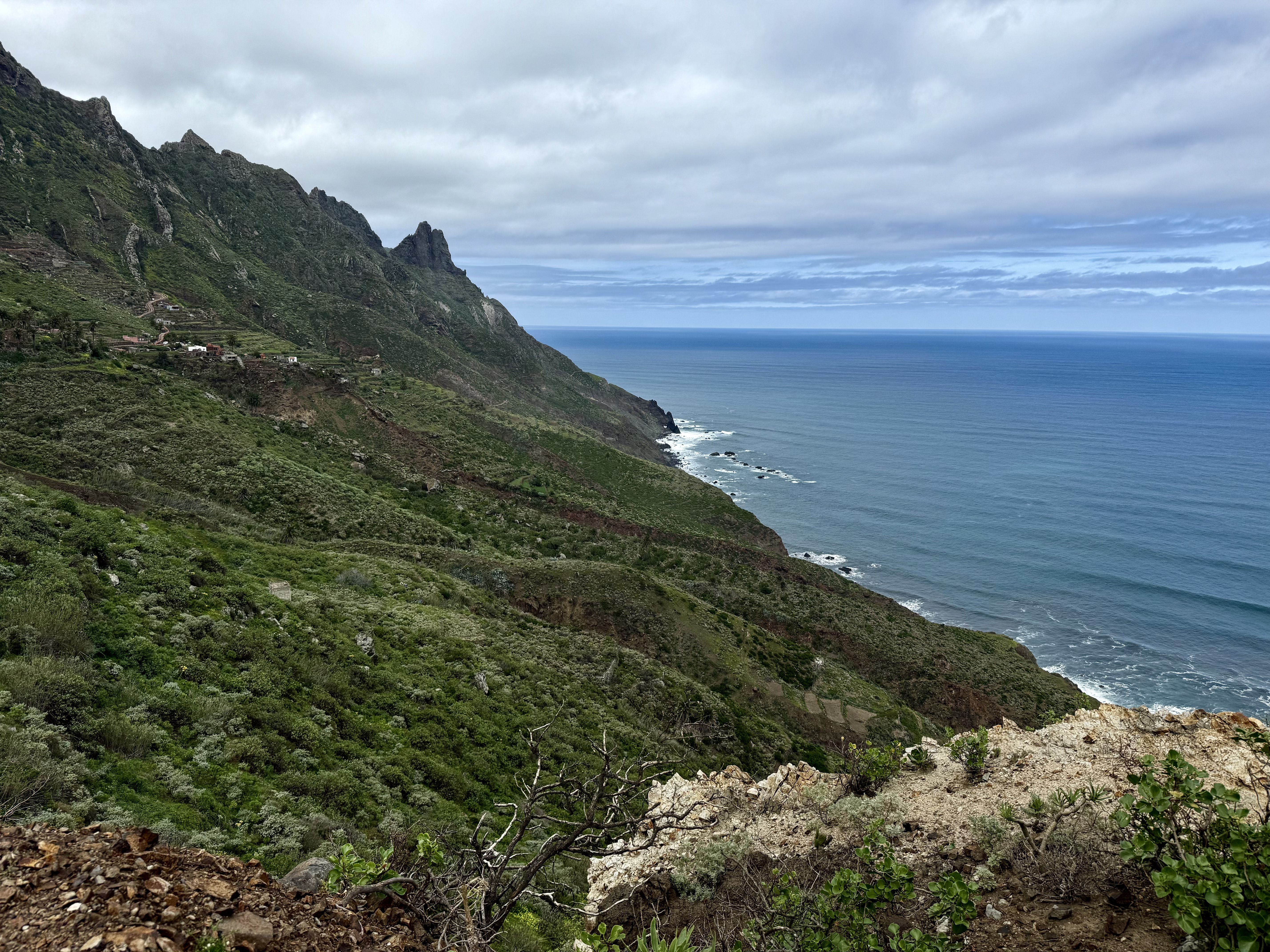 photo of nature