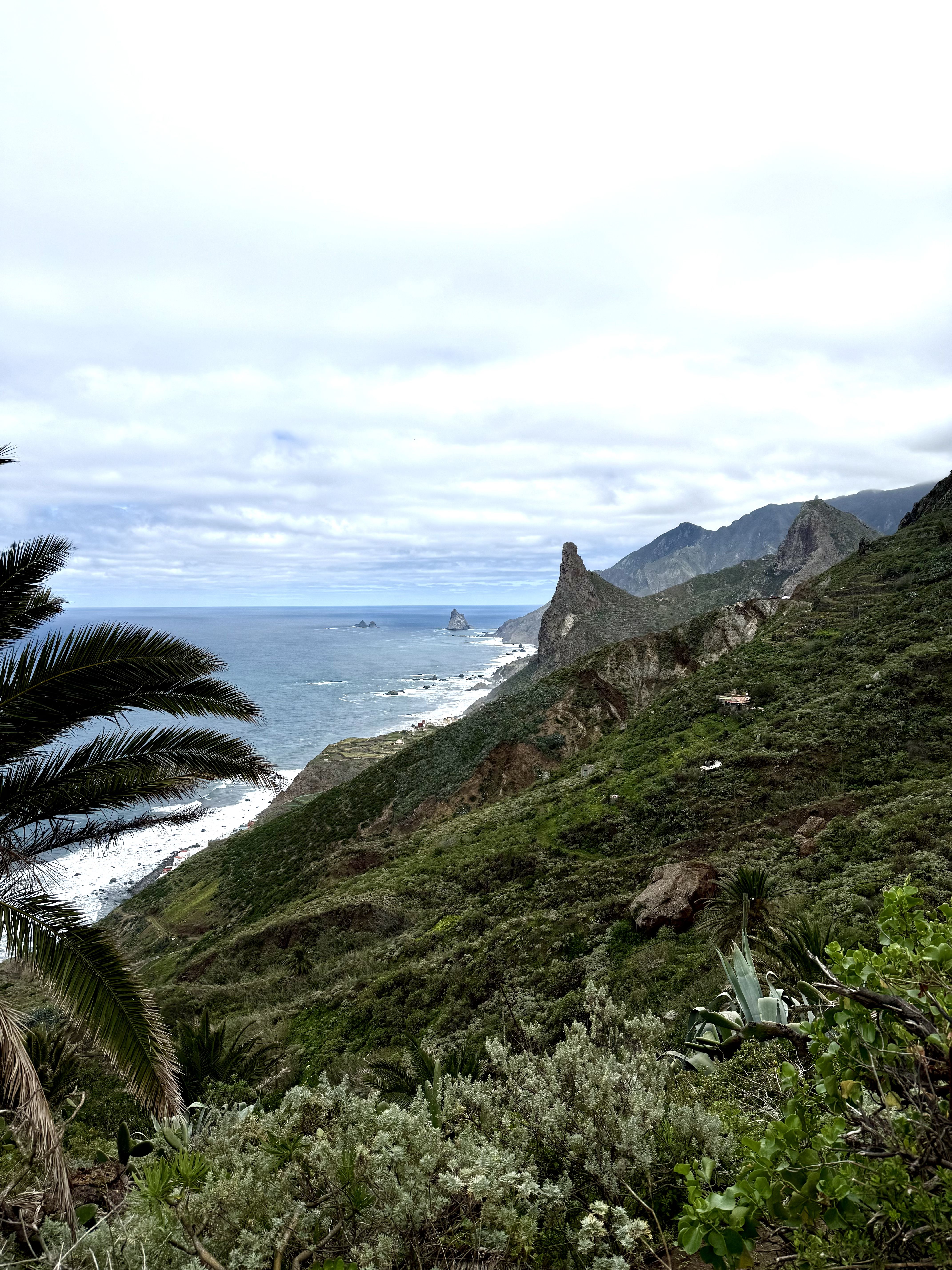 photo of nature
