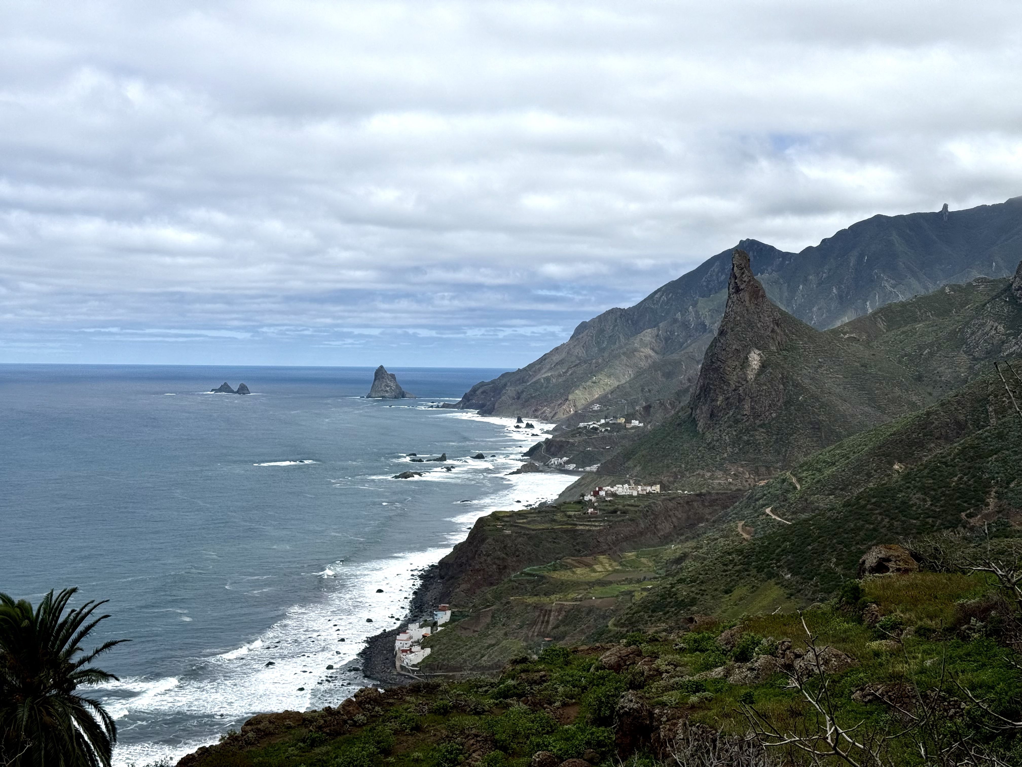 photo of nature