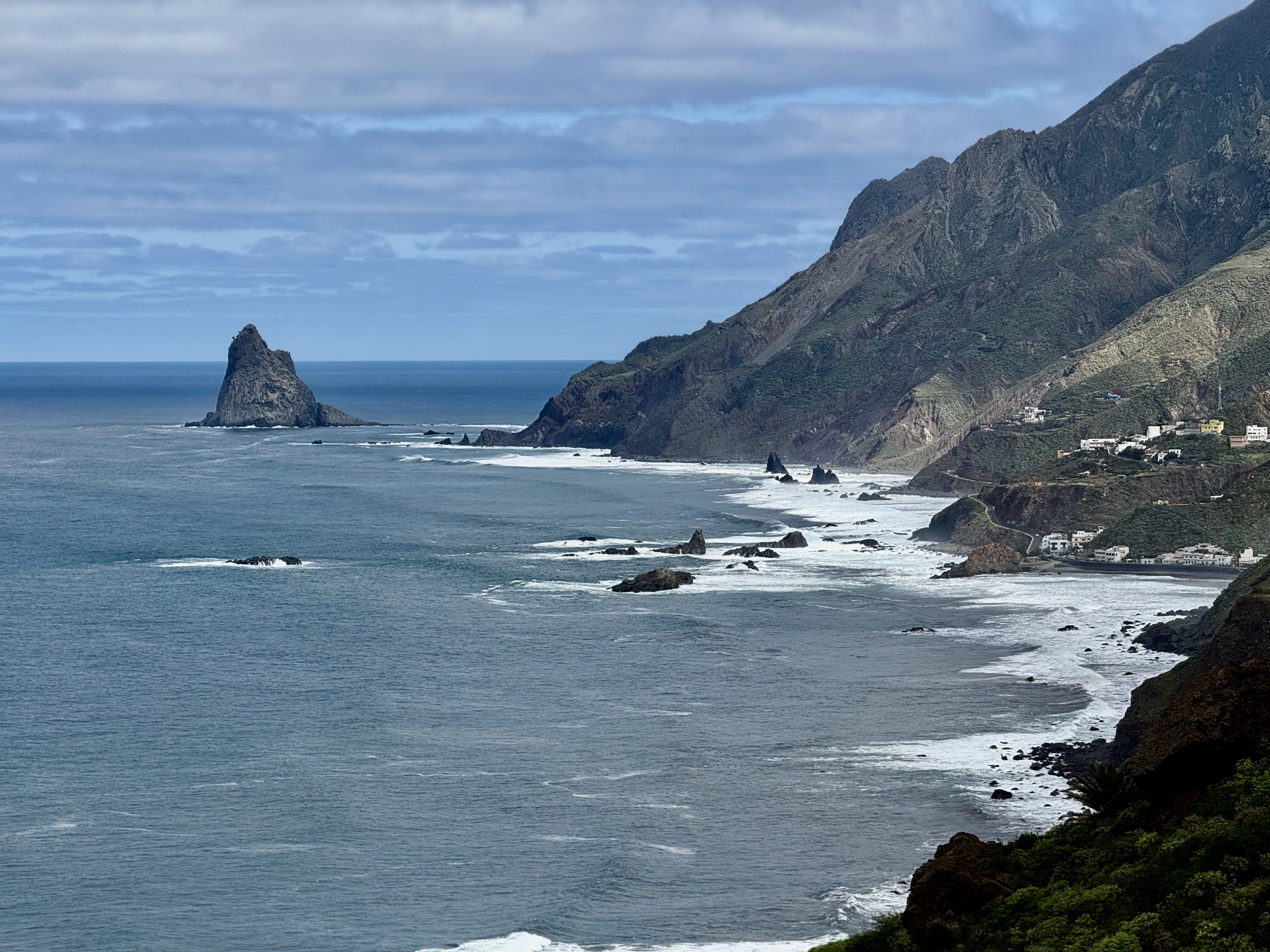 photo of nature