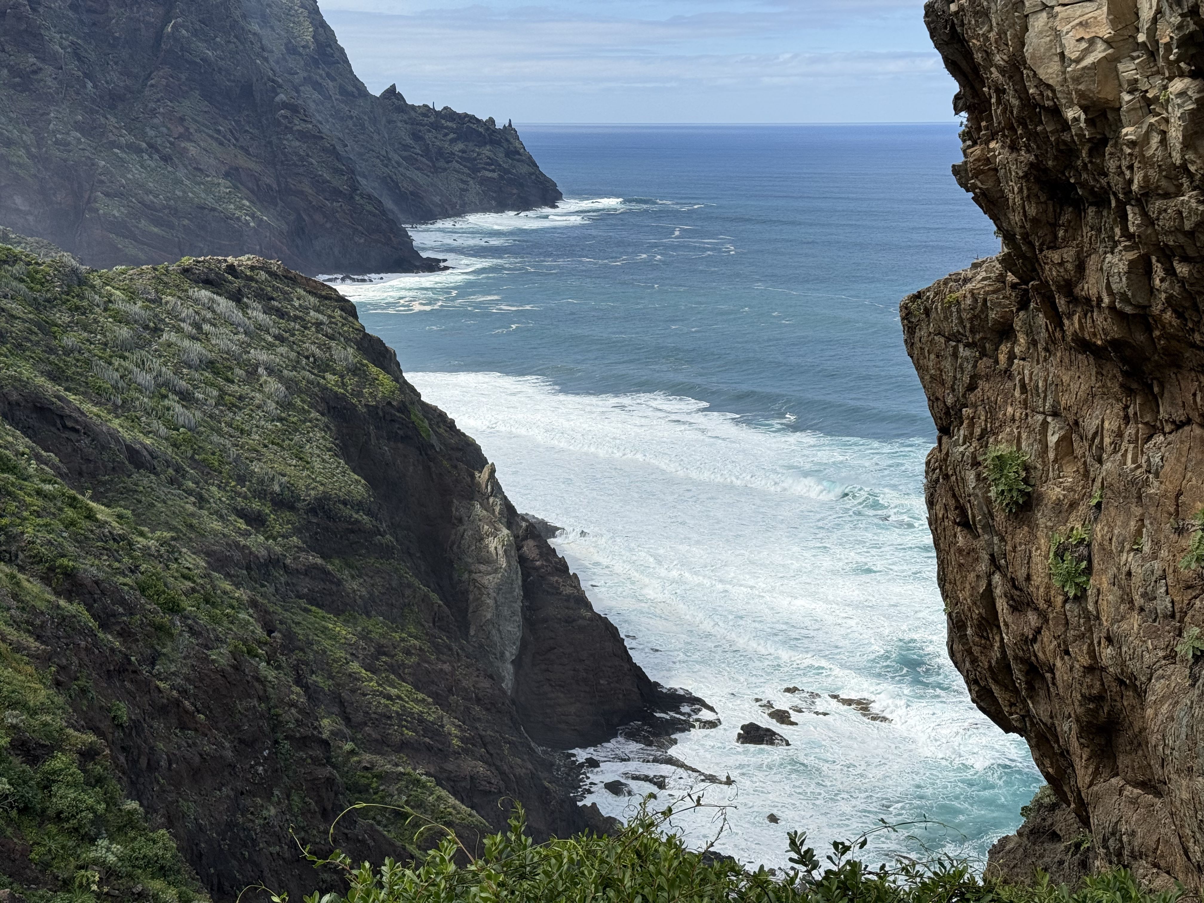 photo of nature