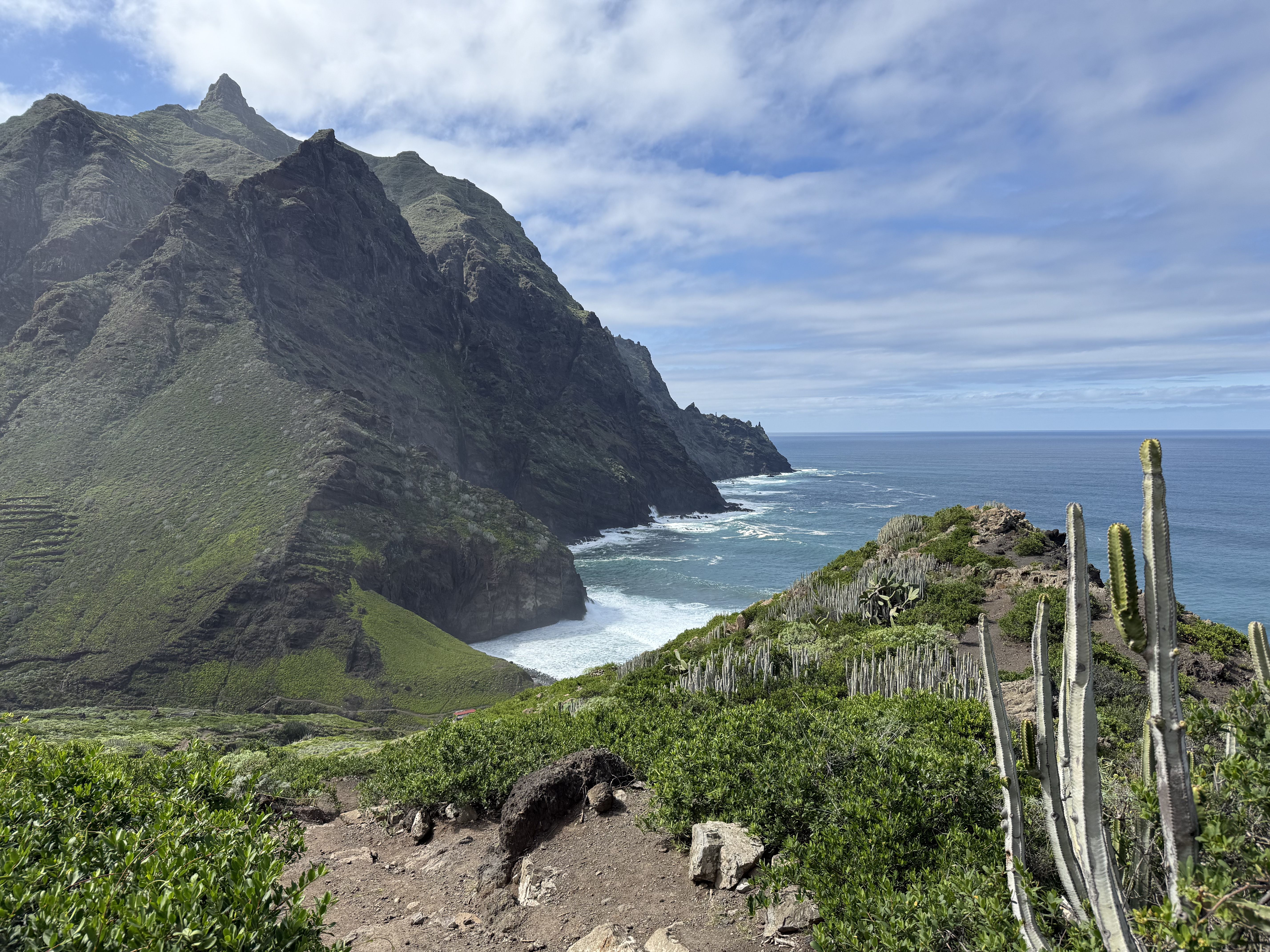 photo of nature
