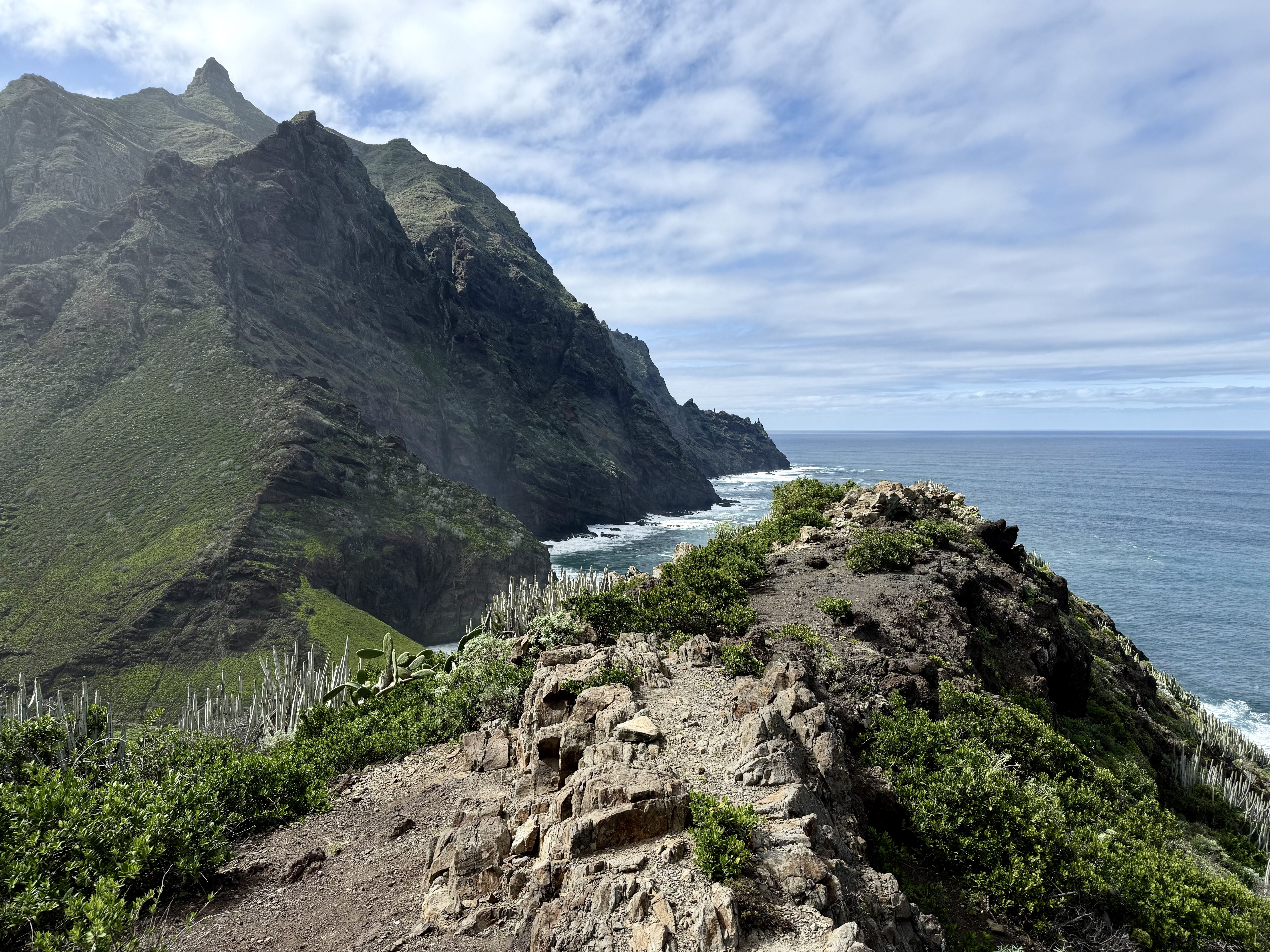 photo of nature