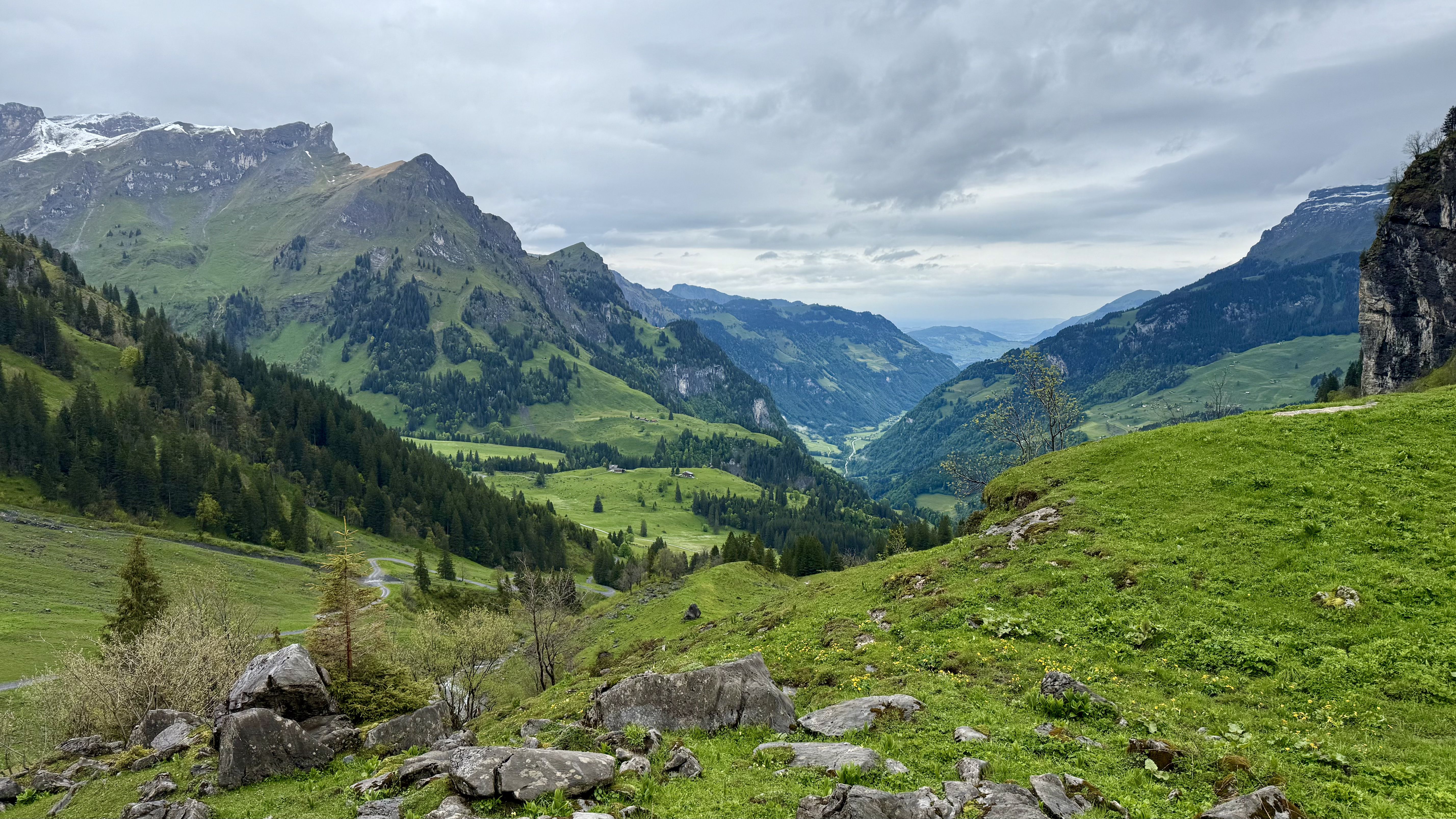 photo of nature