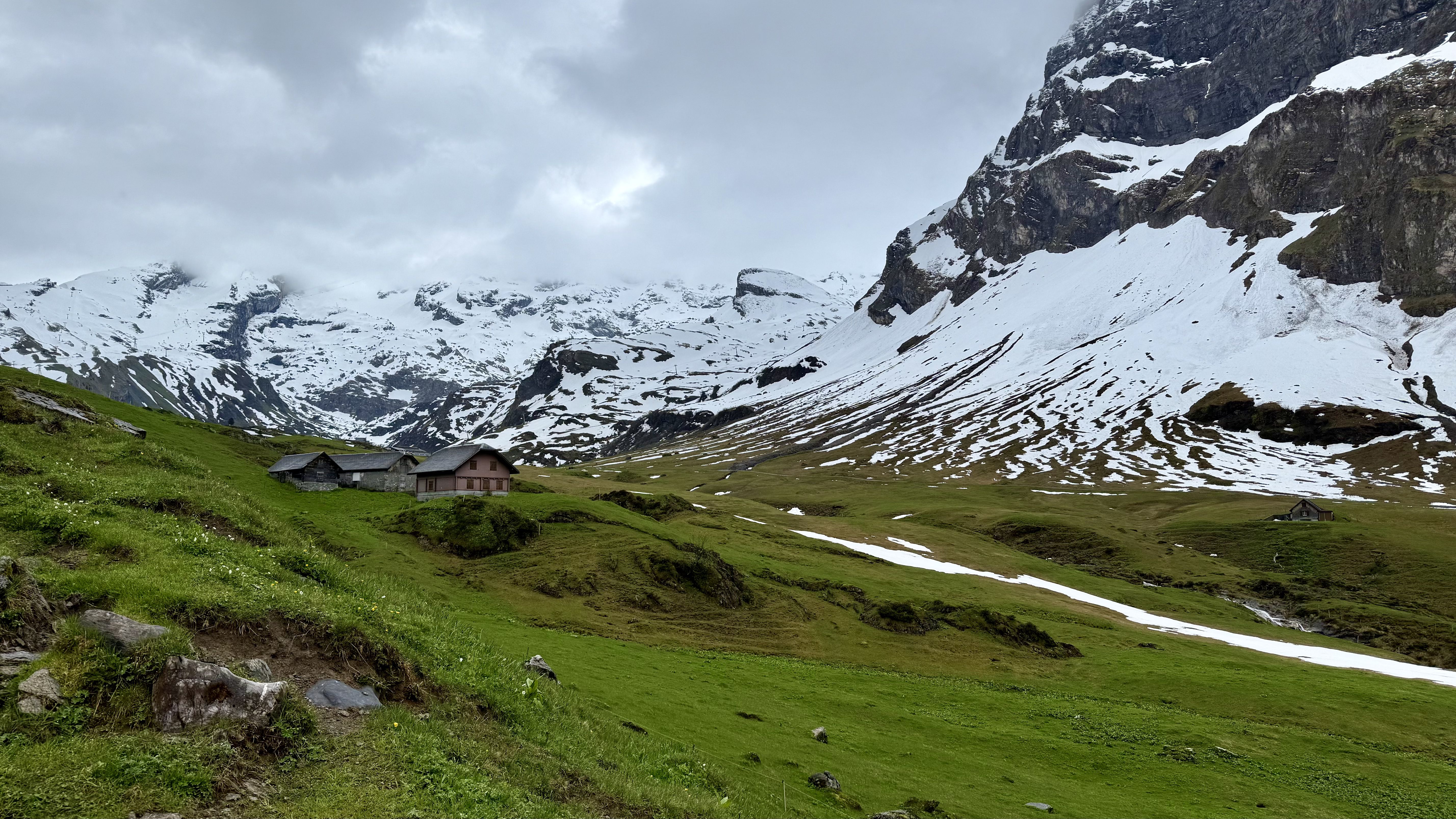 photo of nature