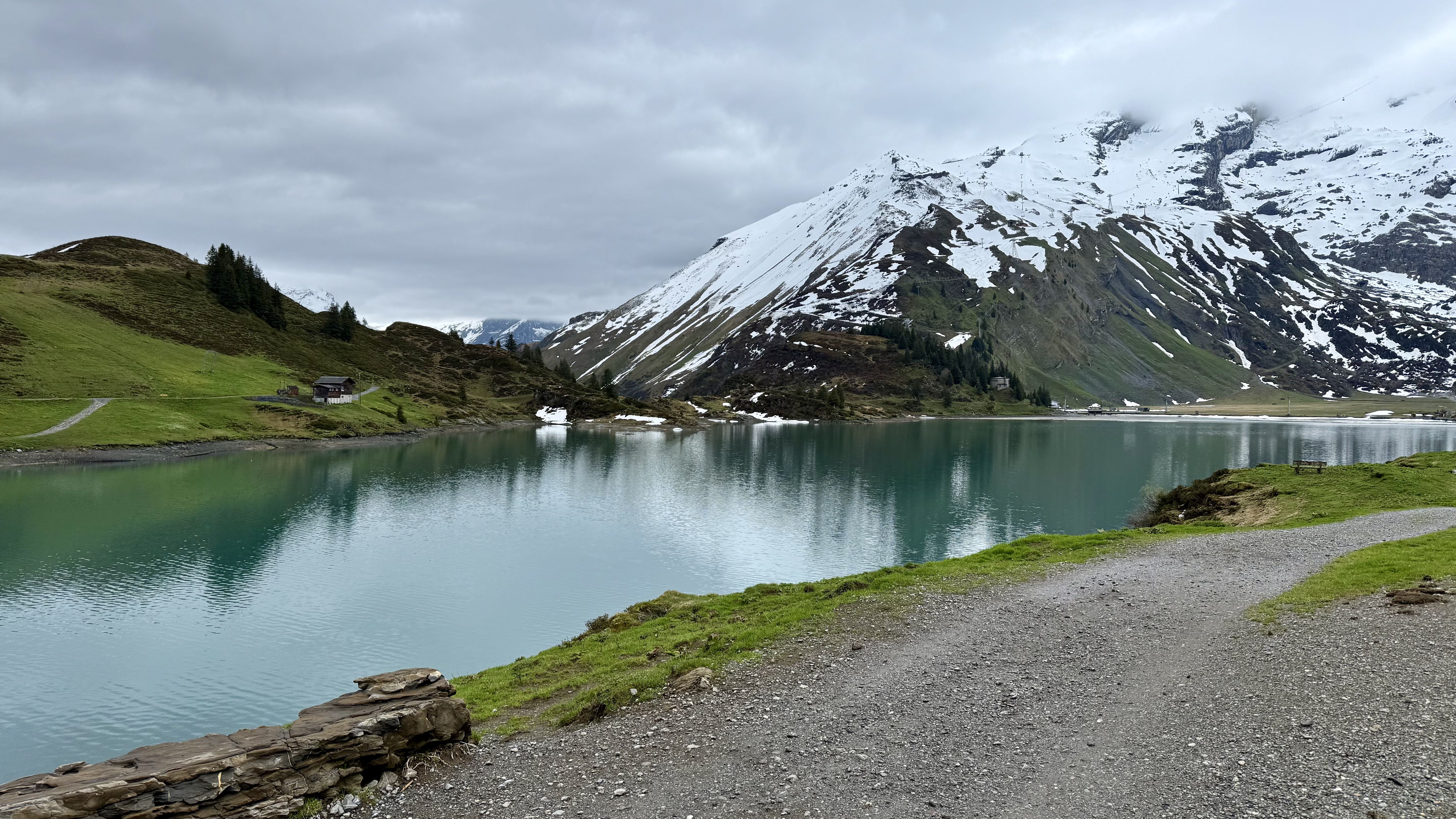 photo of nature