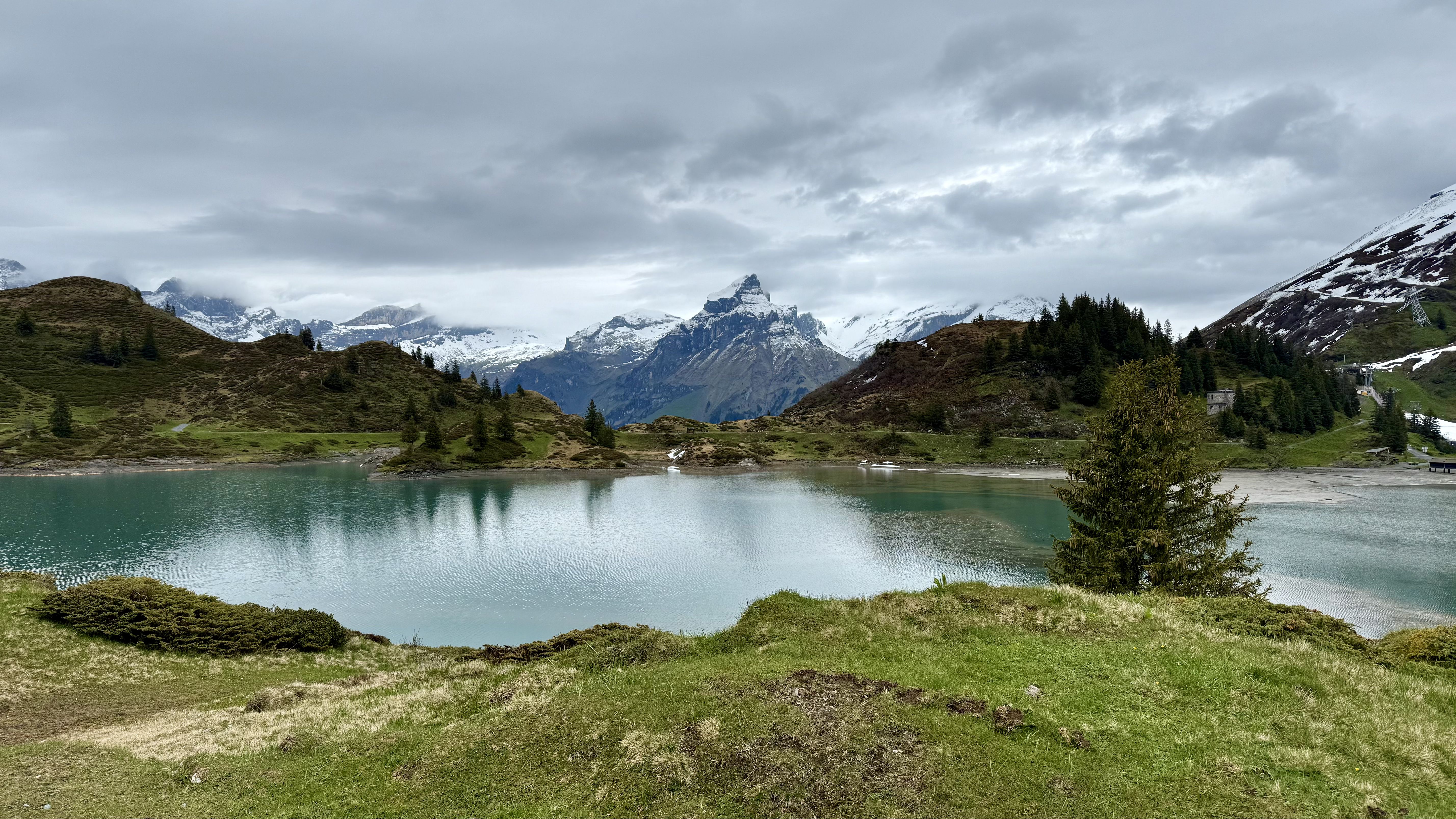 photo of nature