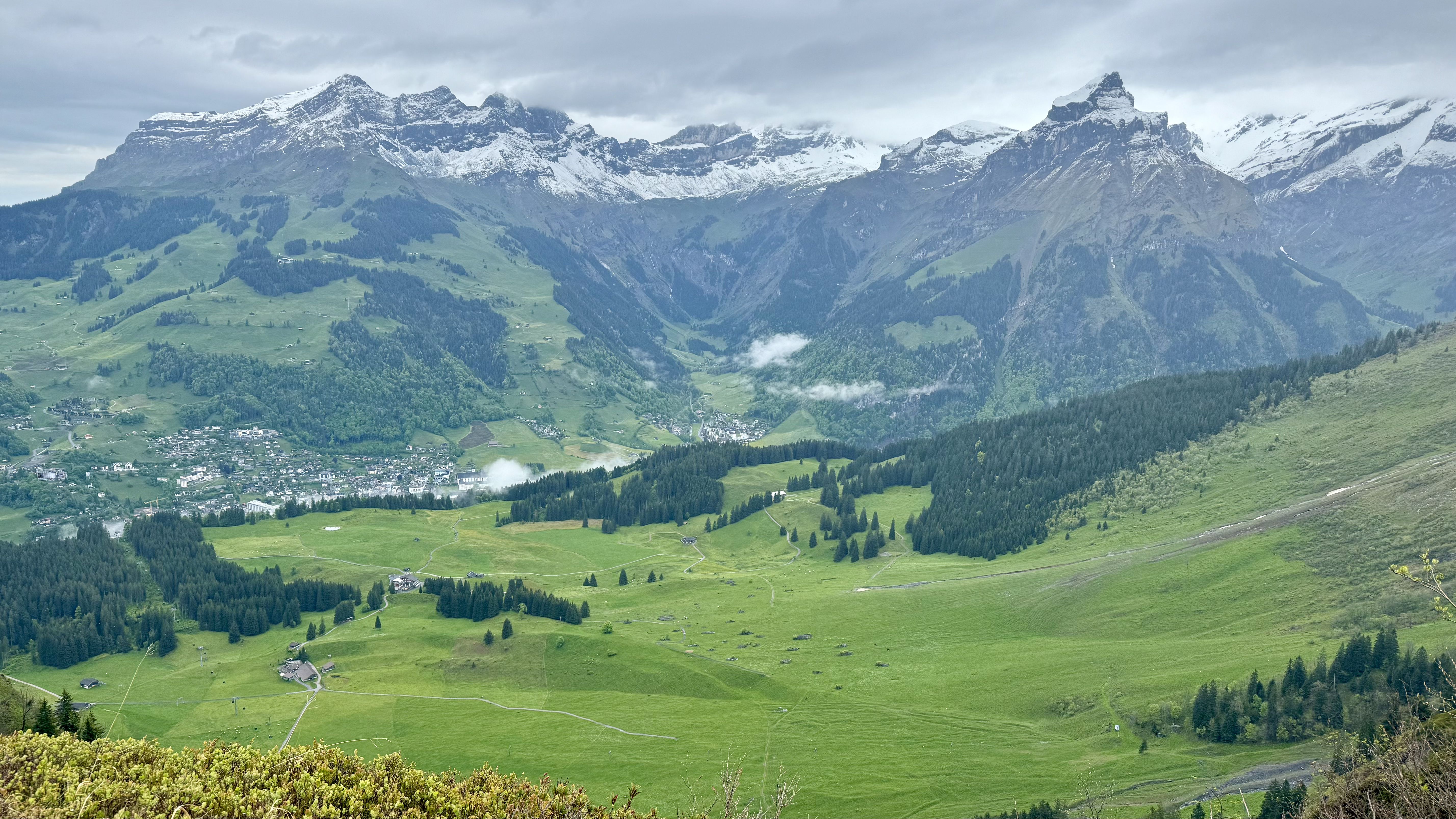 photo of nature