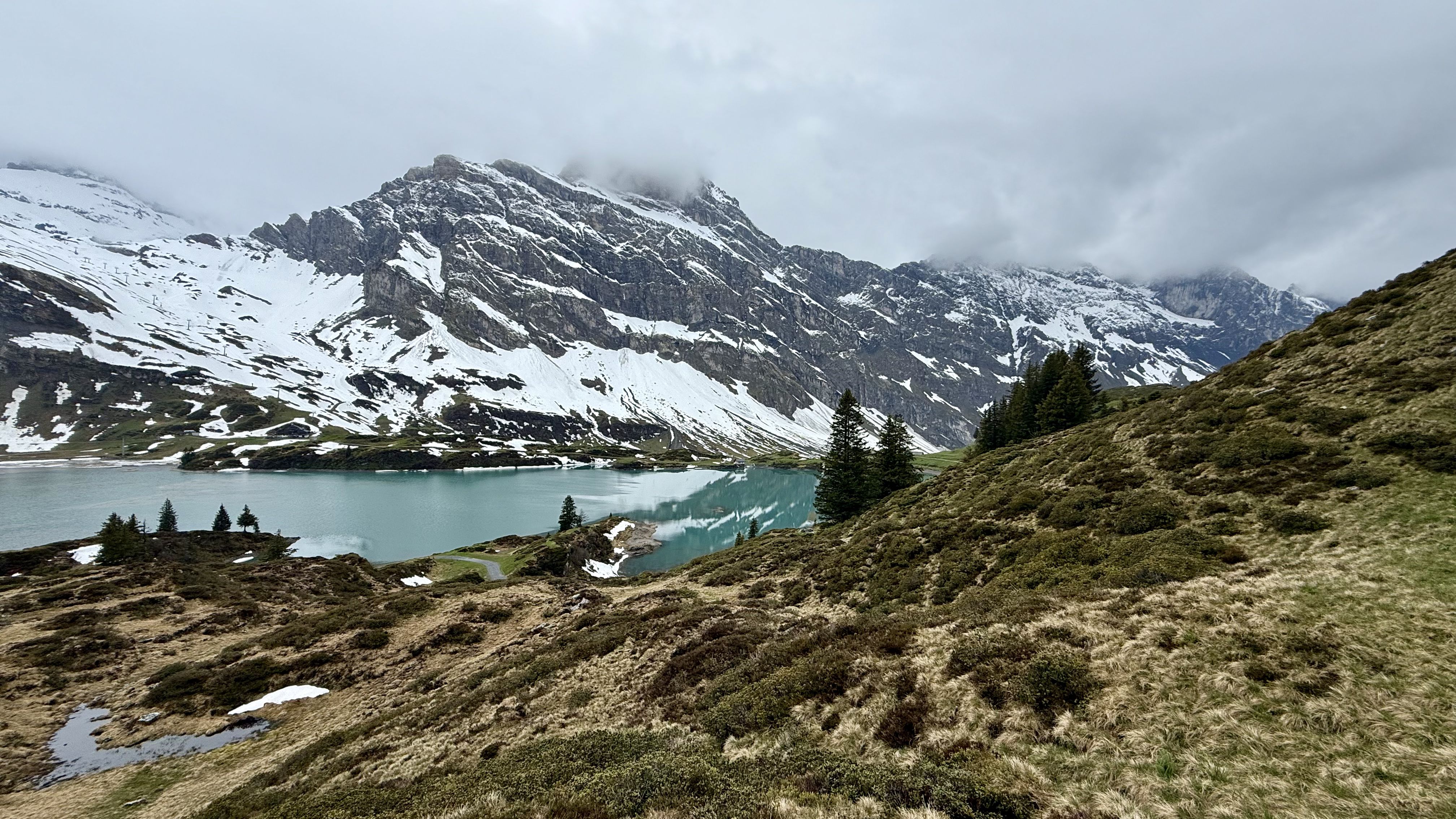 photo of nature