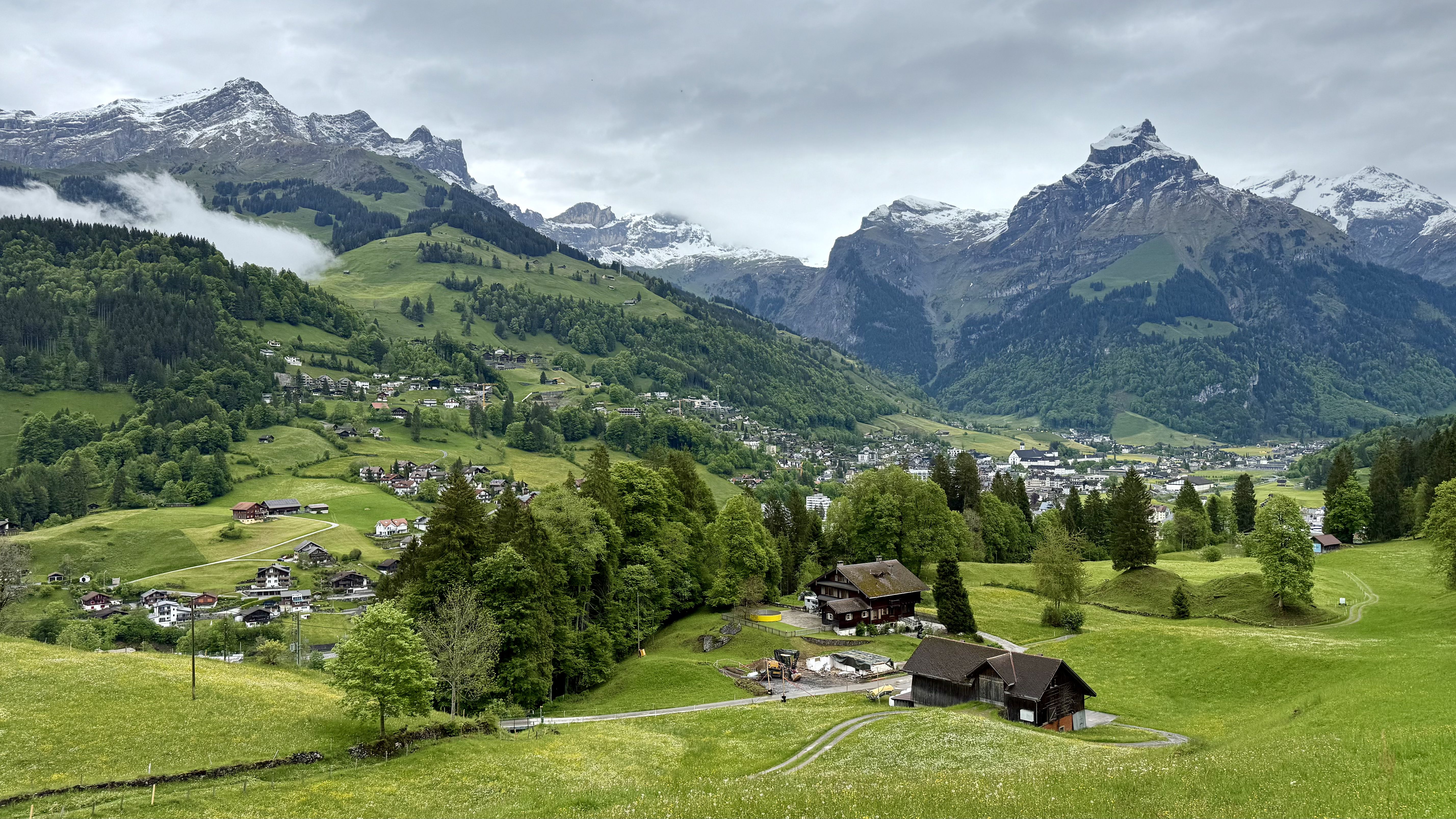 photo of nature