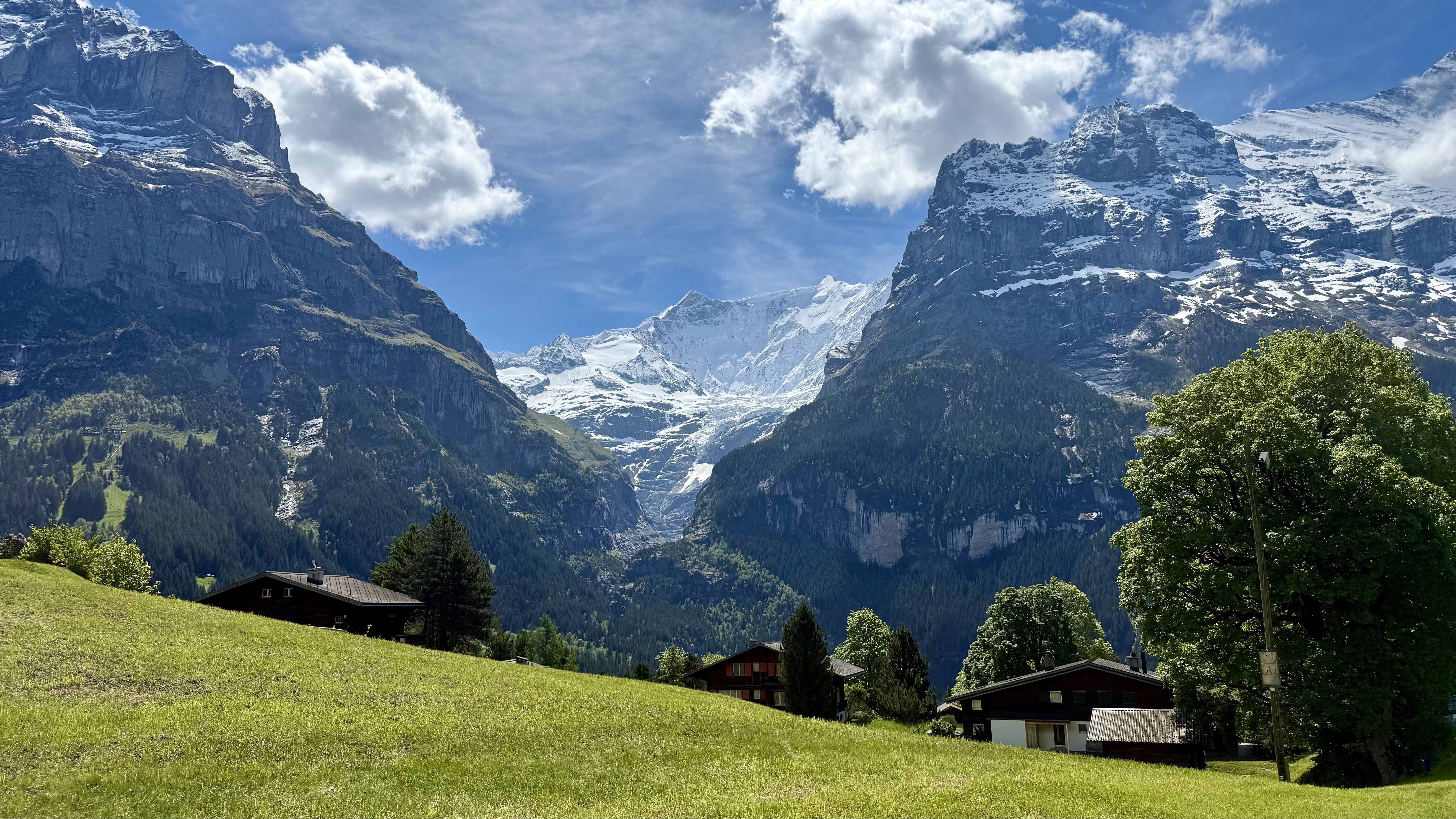photo of nature