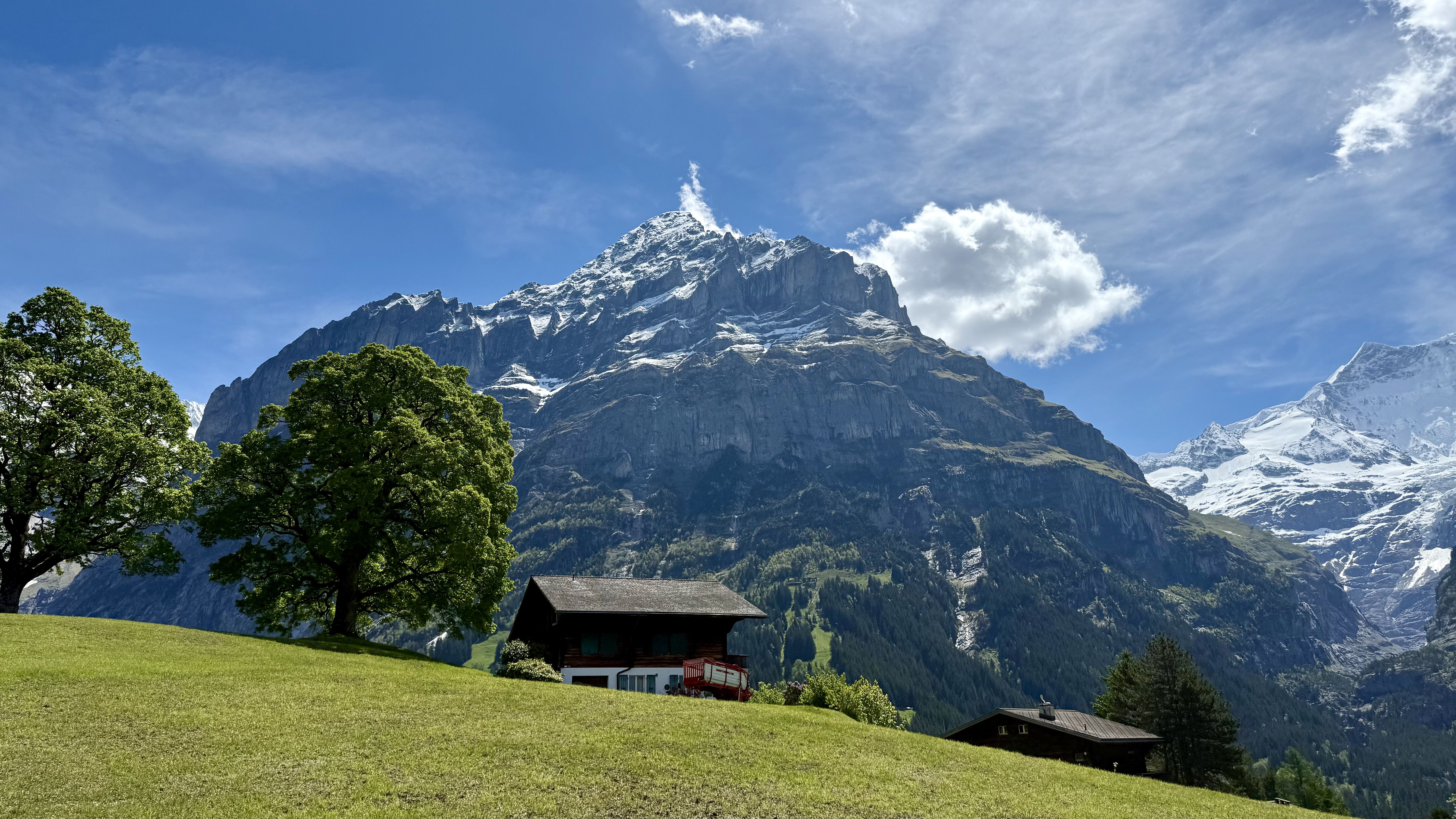 photo of nature