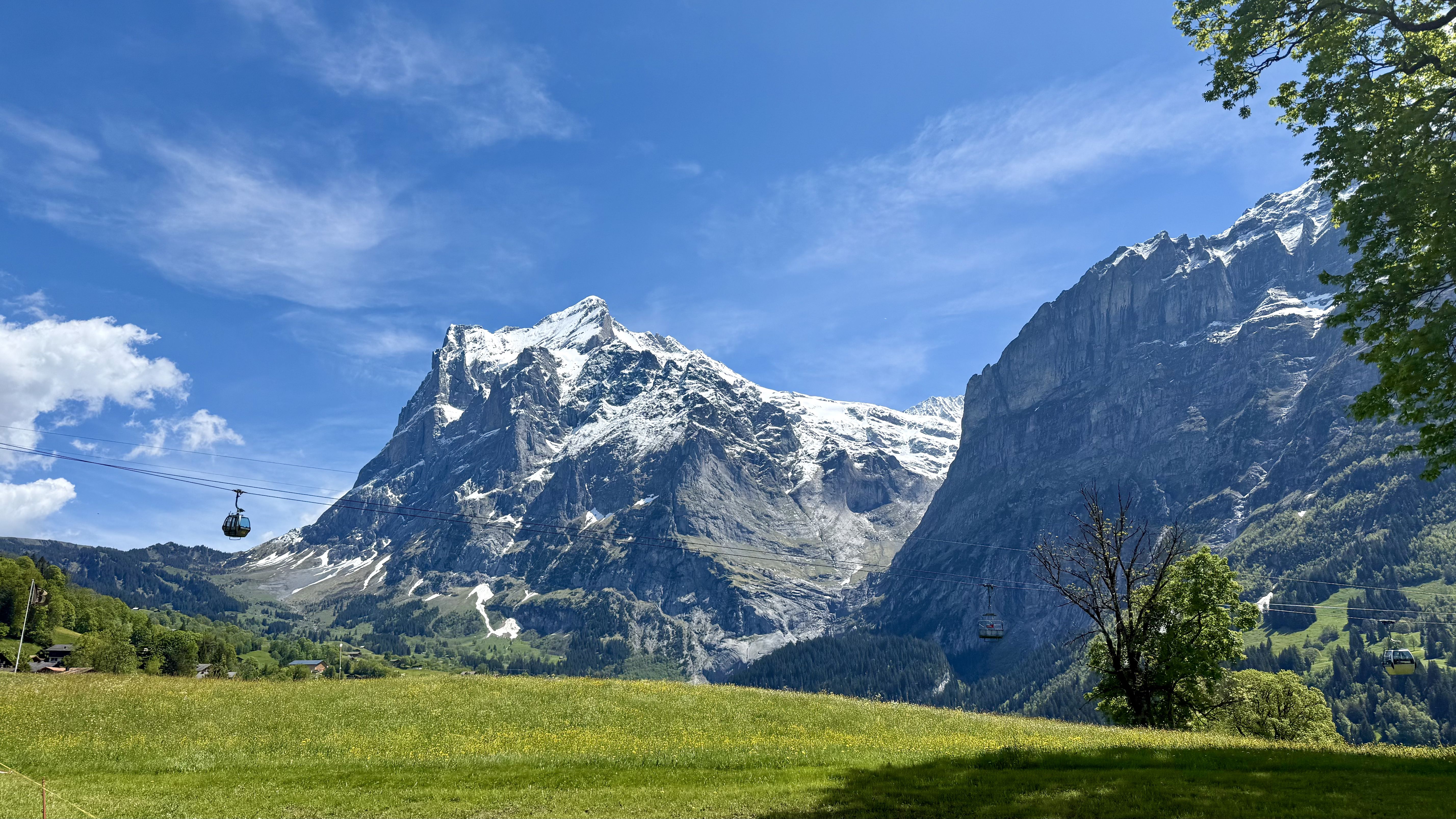 photo of nature