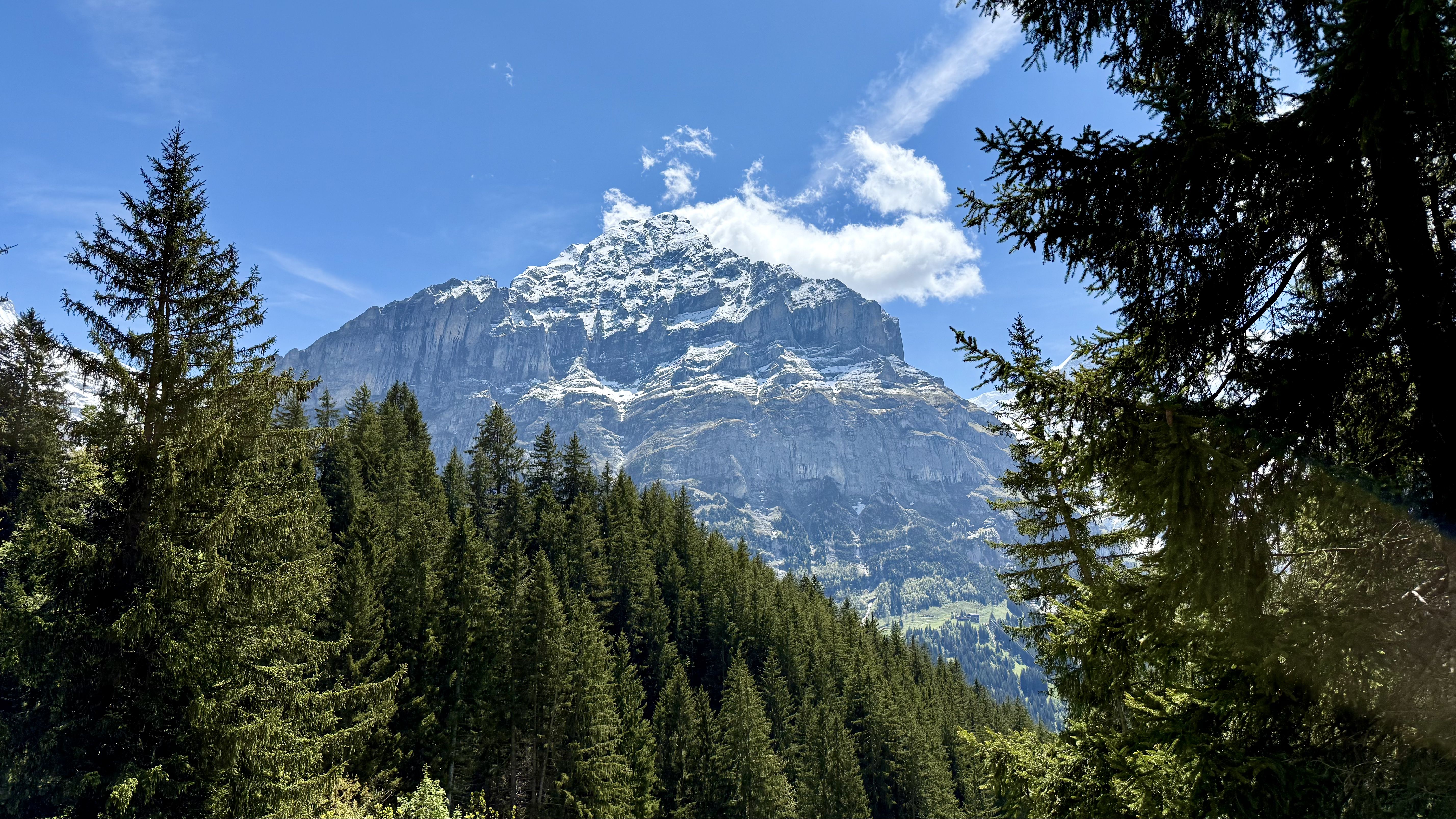 photo of nature
