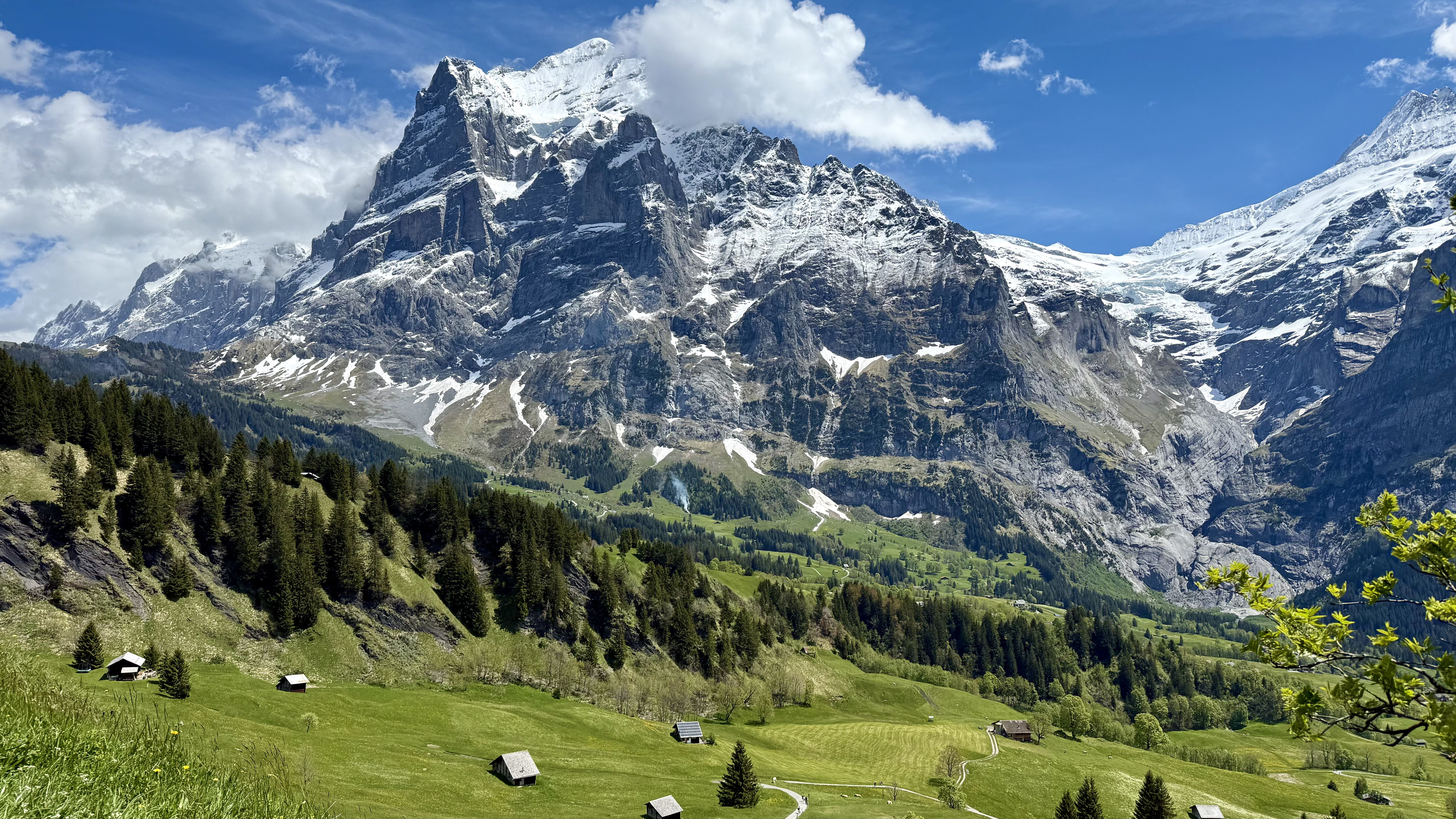 photo of nature