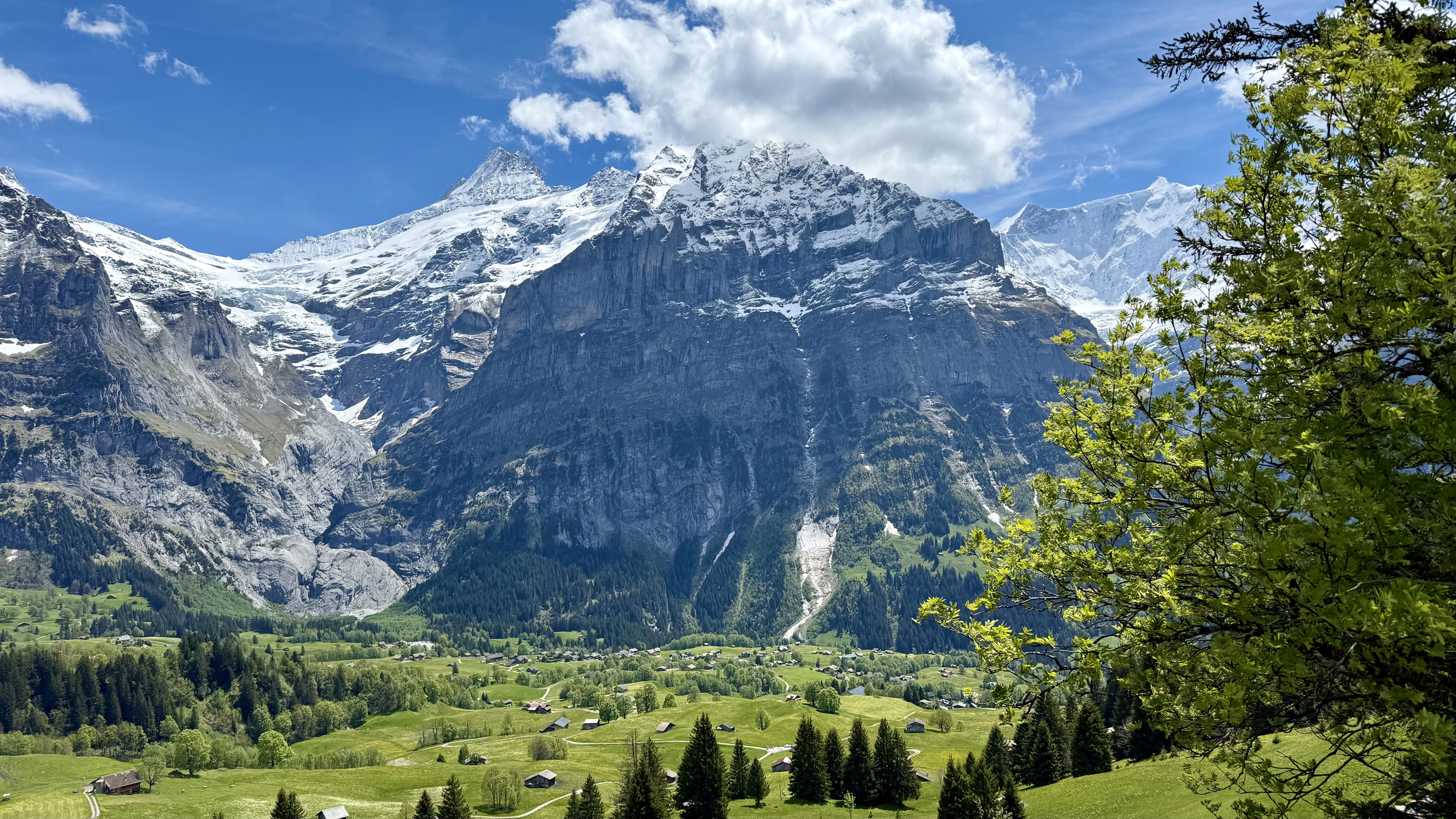 photo of nature