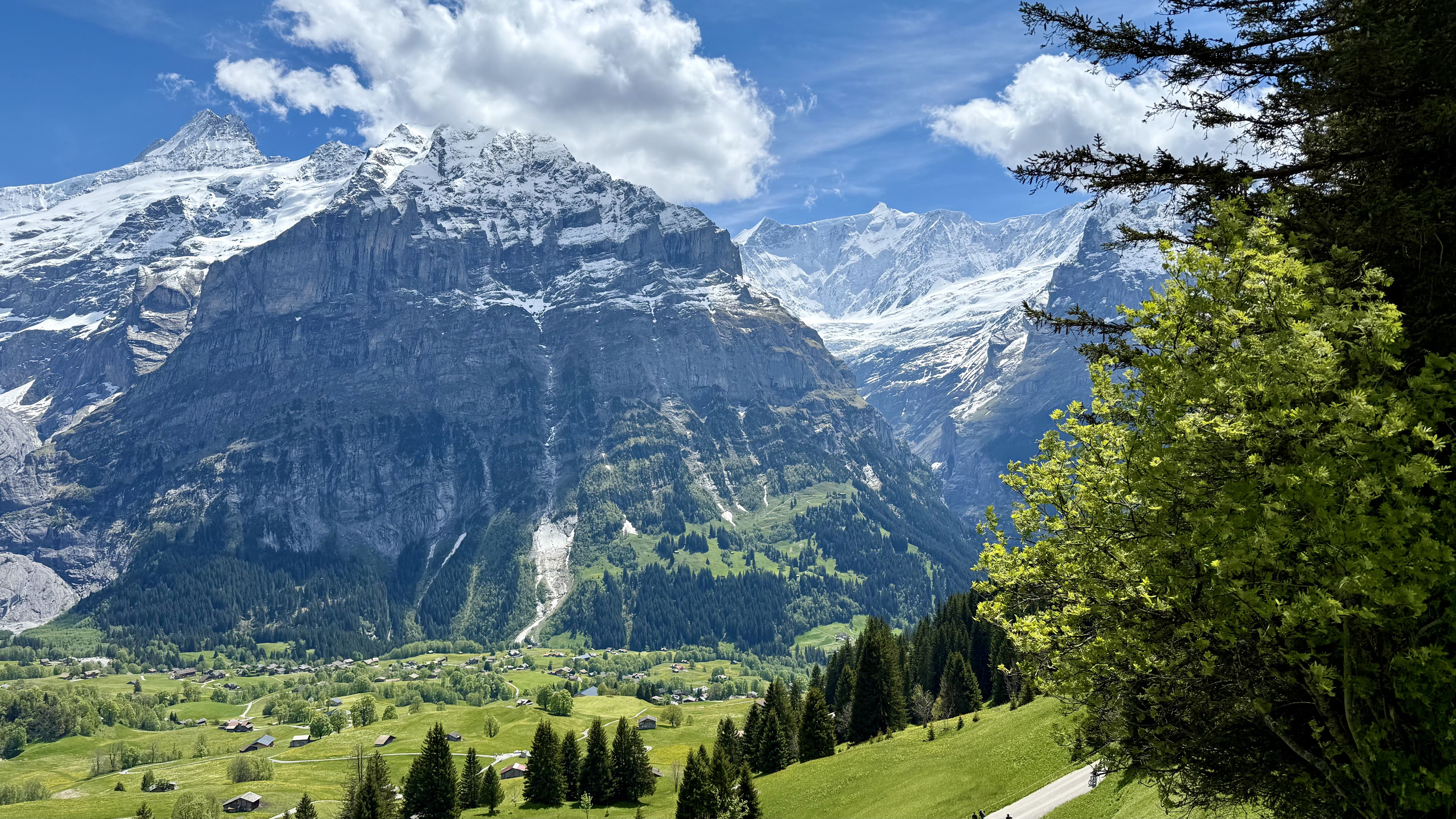 photo of nature