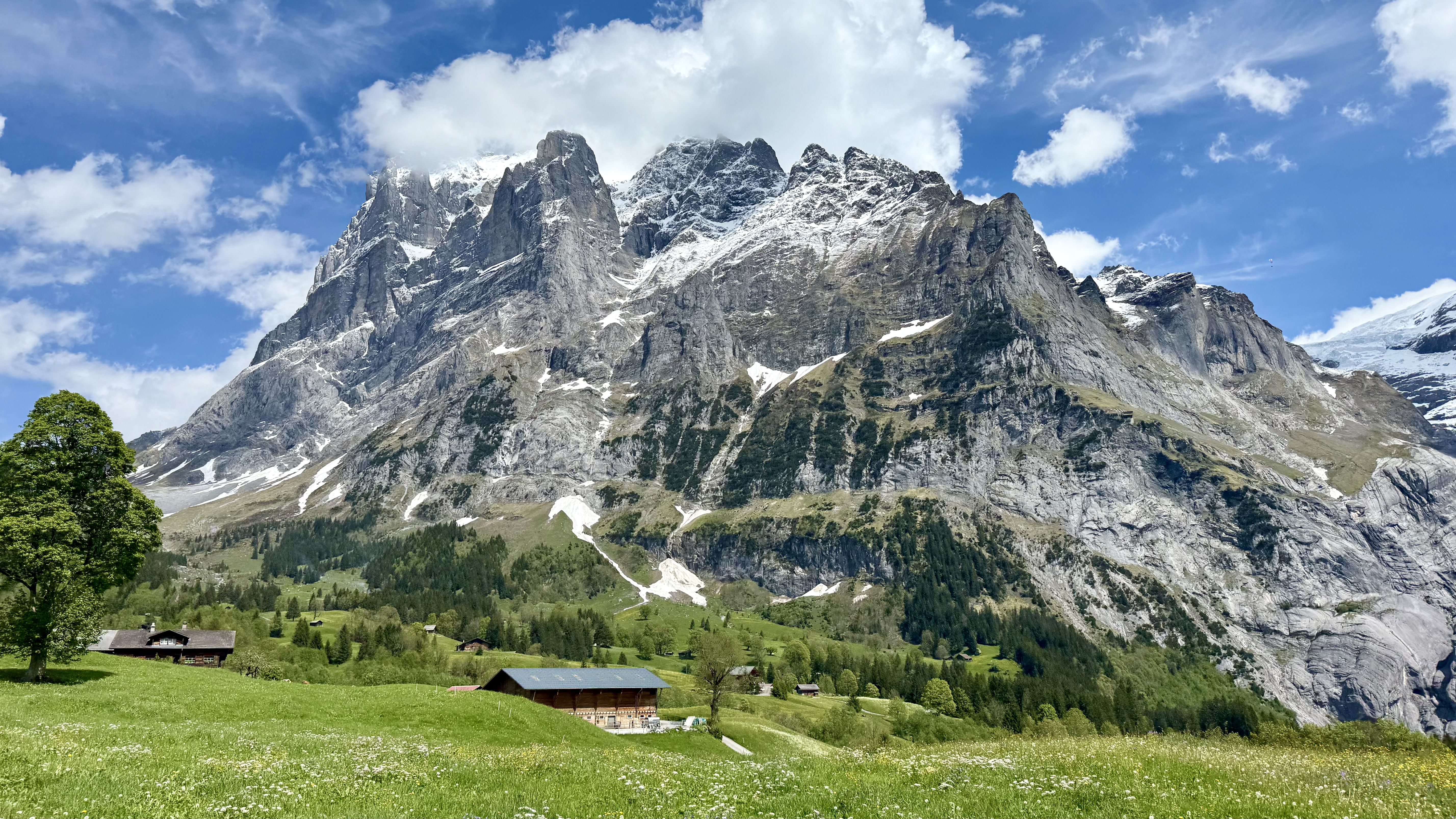 photo of nature