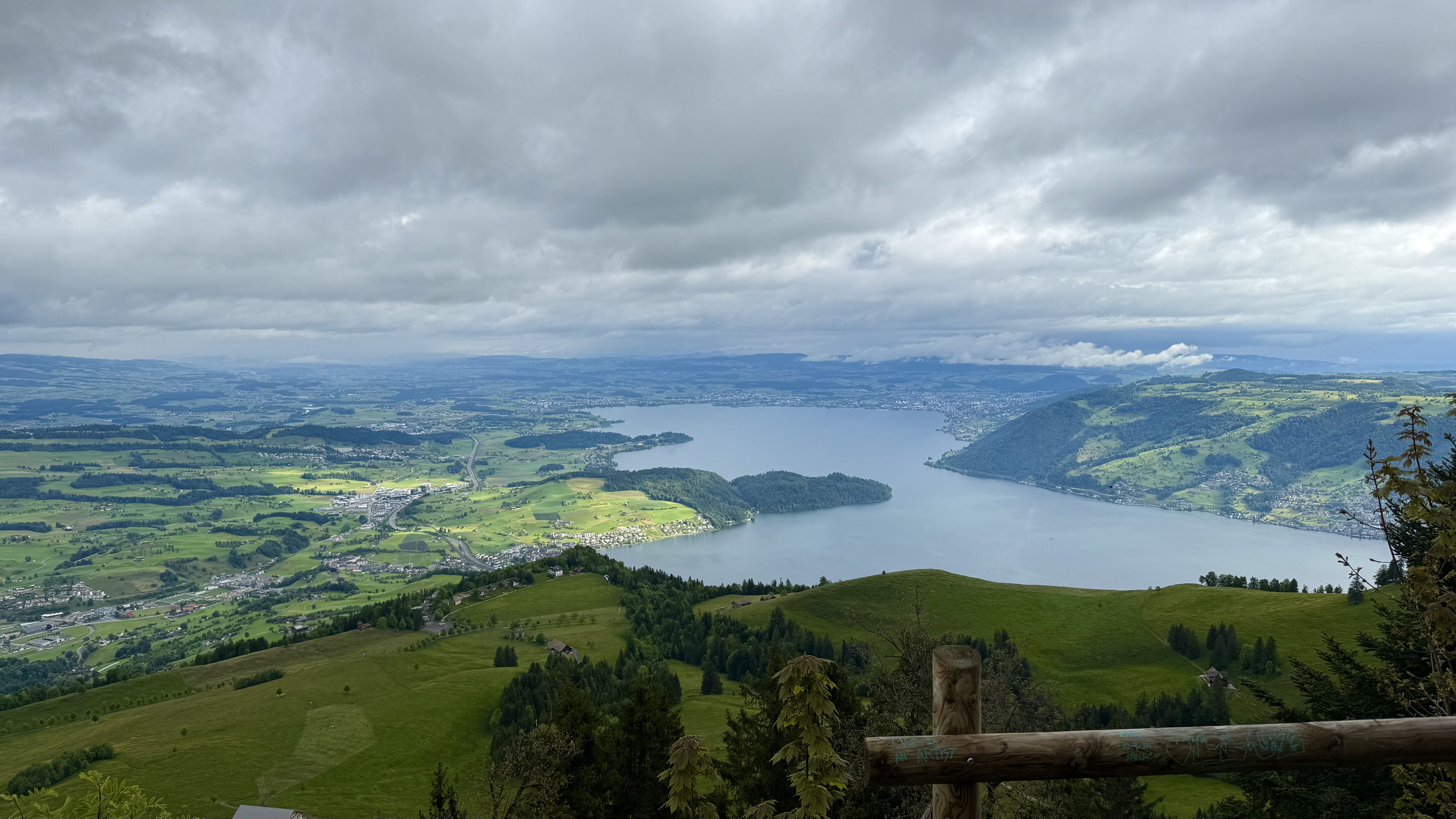 photo of nature