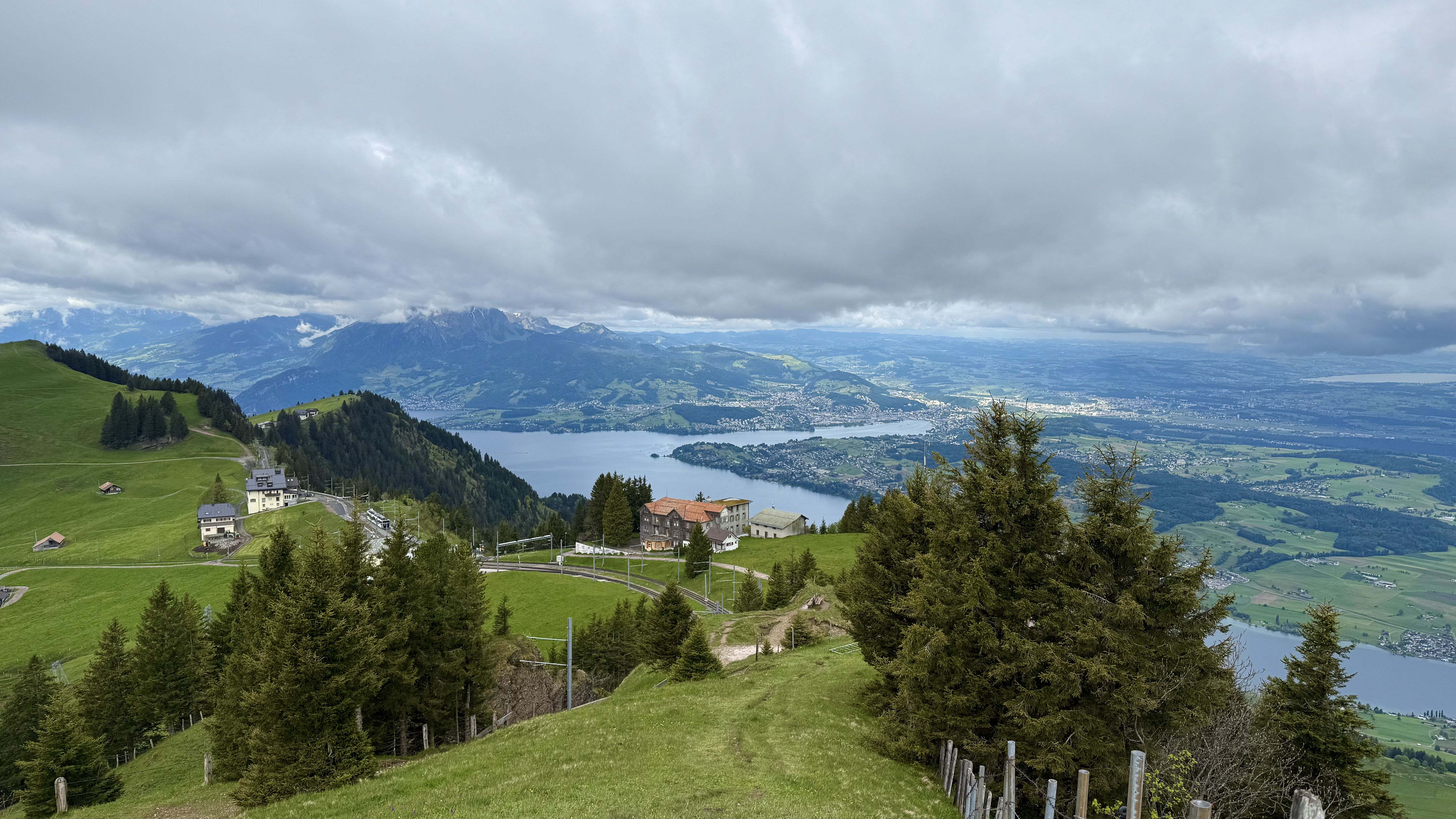 photo of nature