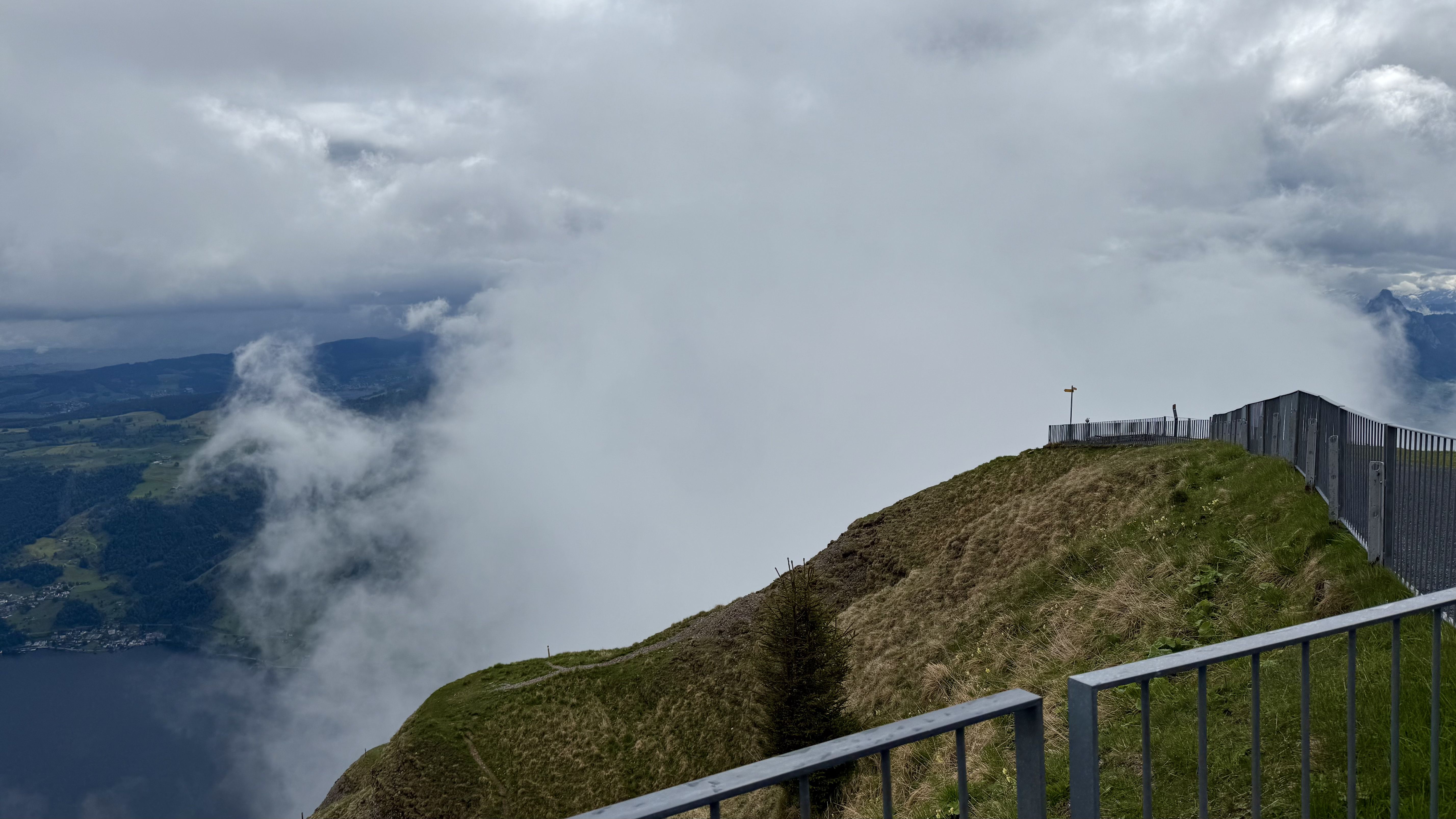 photo of nature
