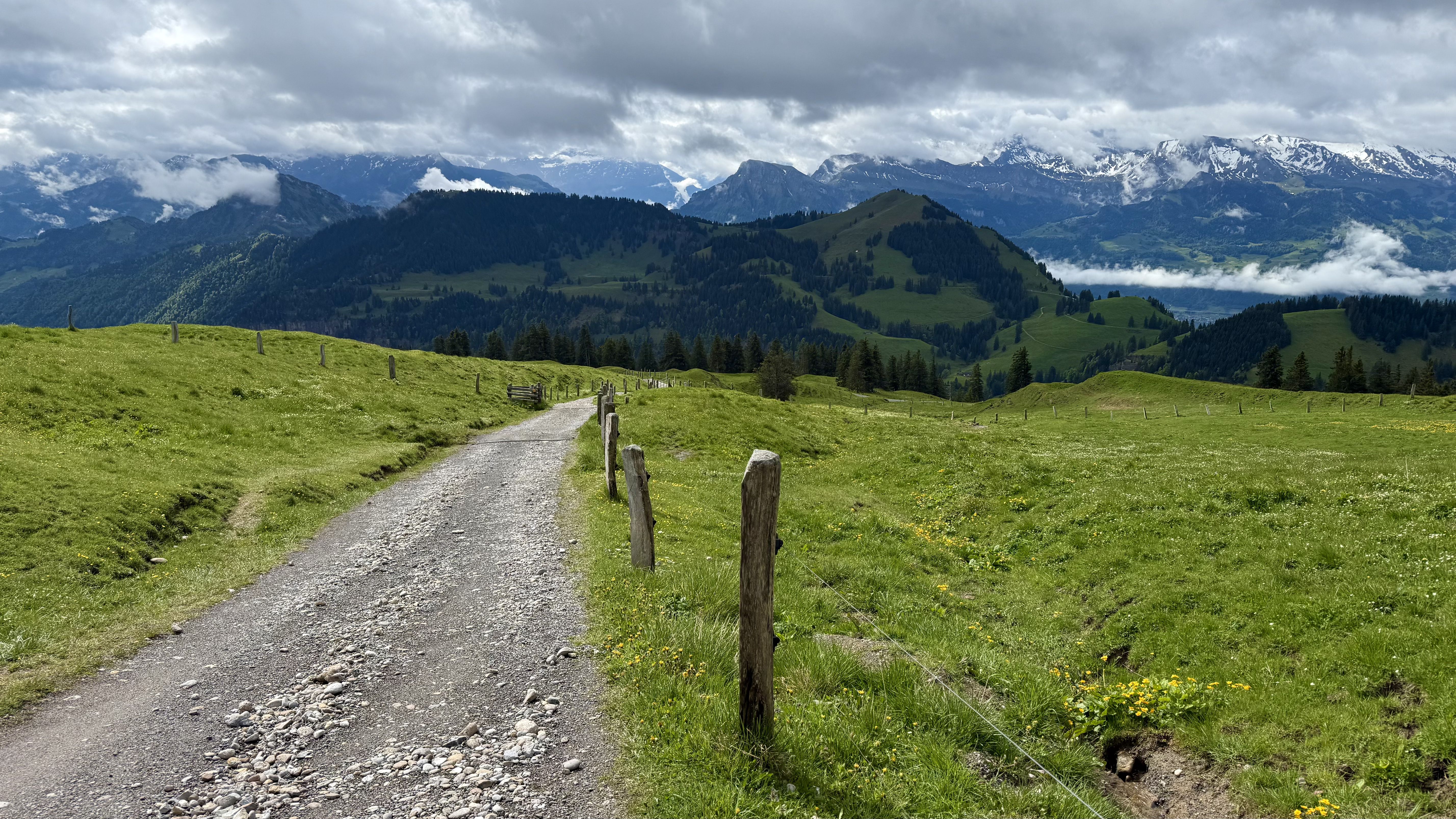 photo of nature
