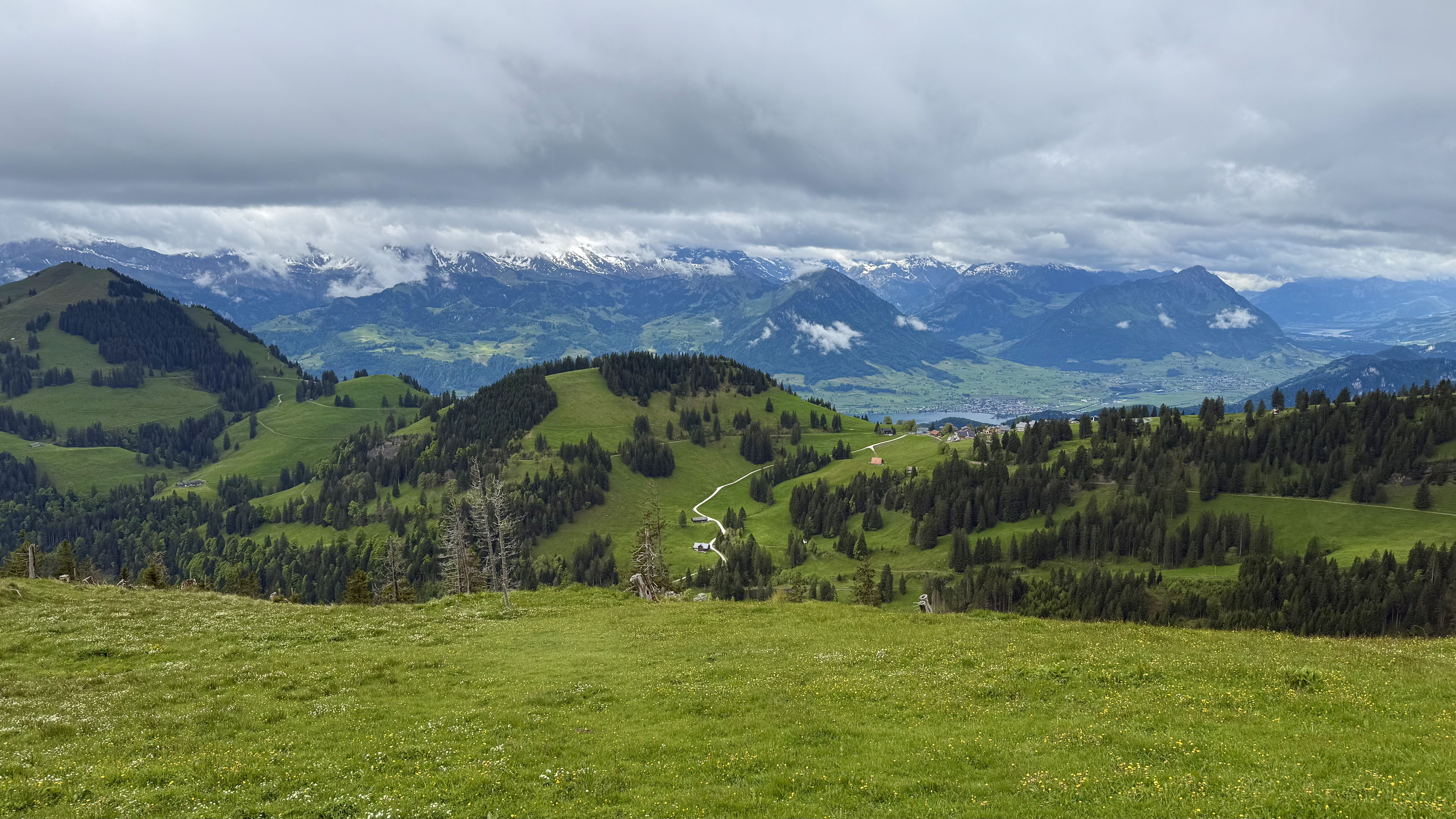 photo of nature