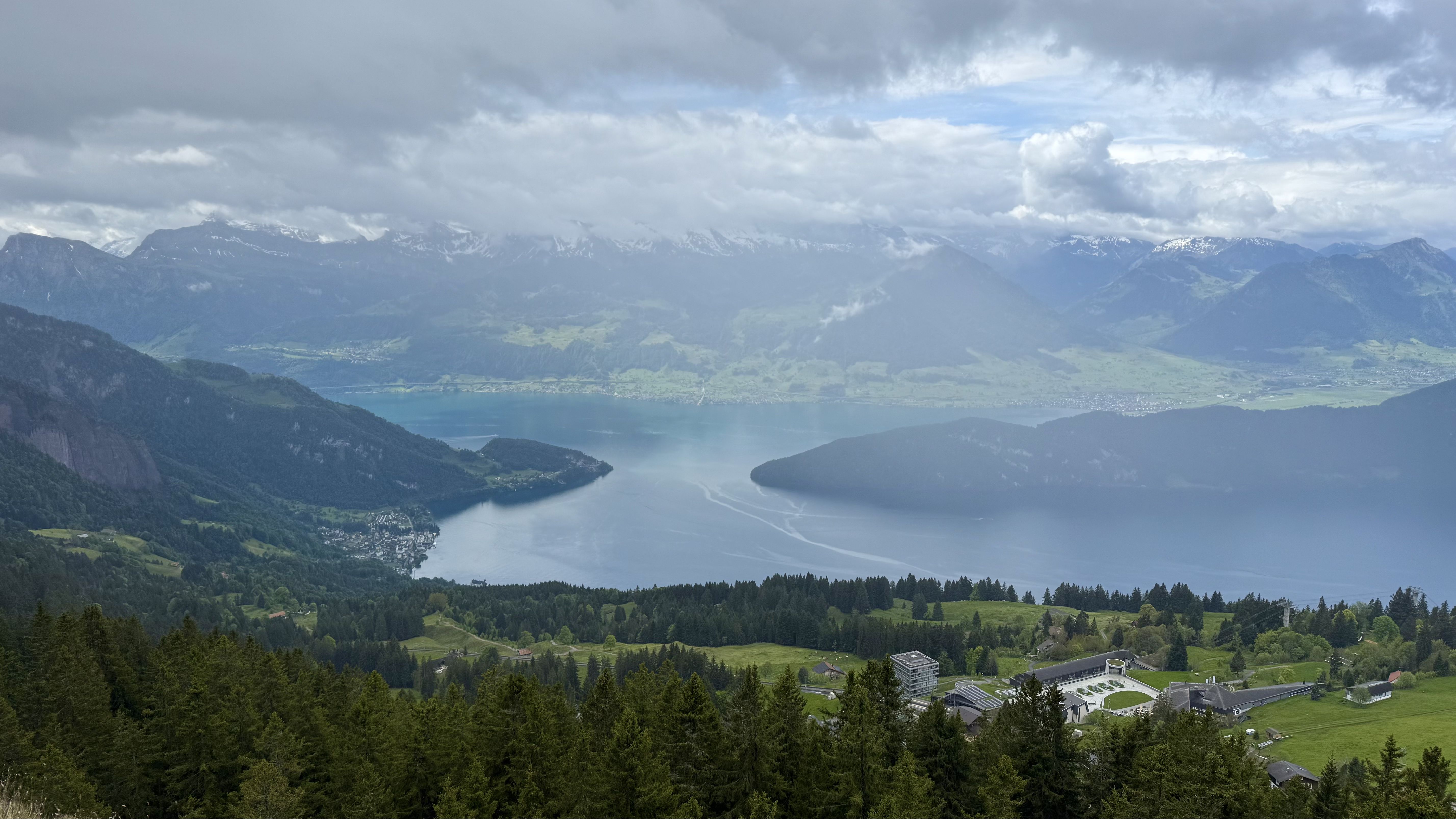 photo of nature