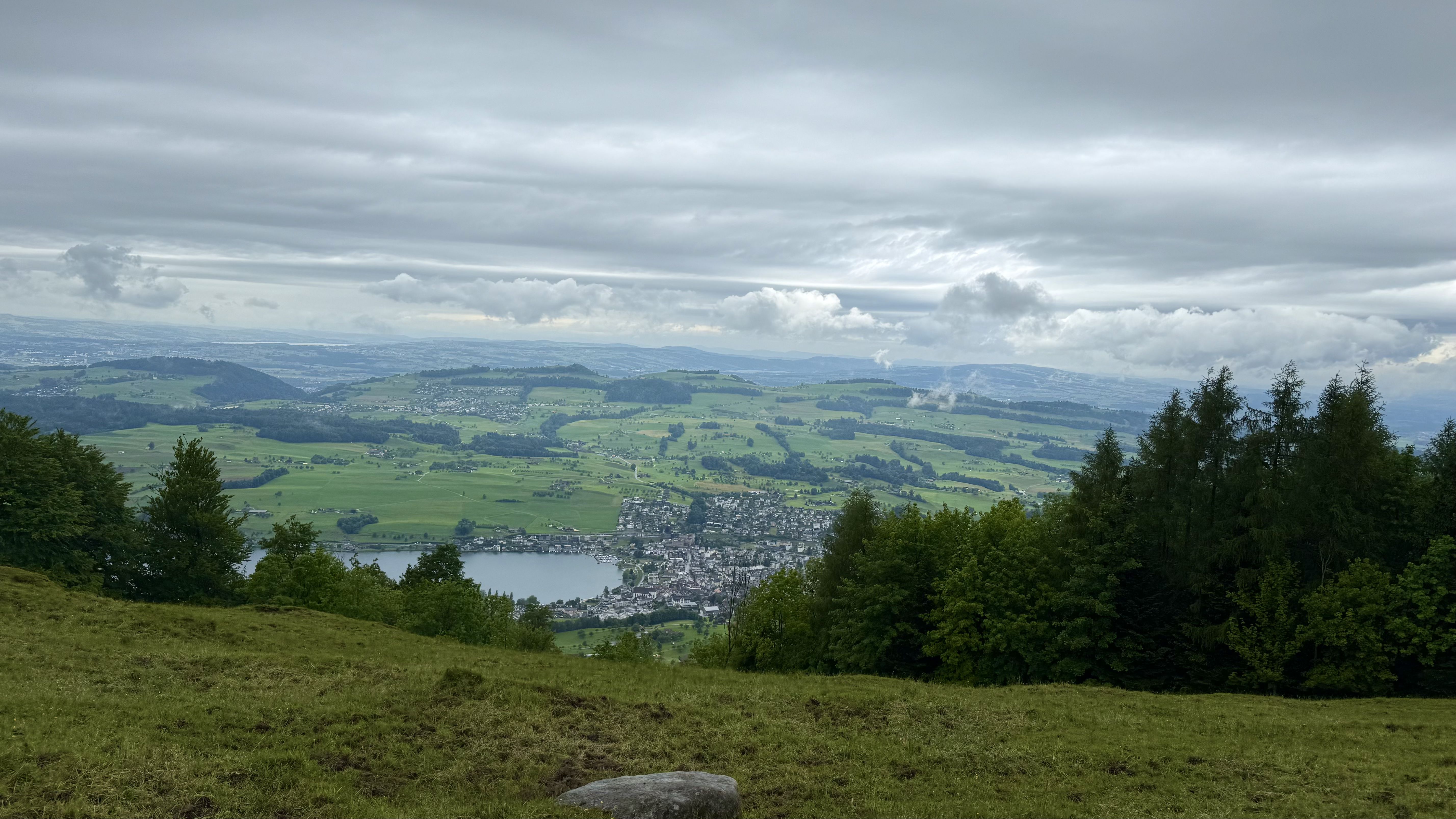 photo of nature