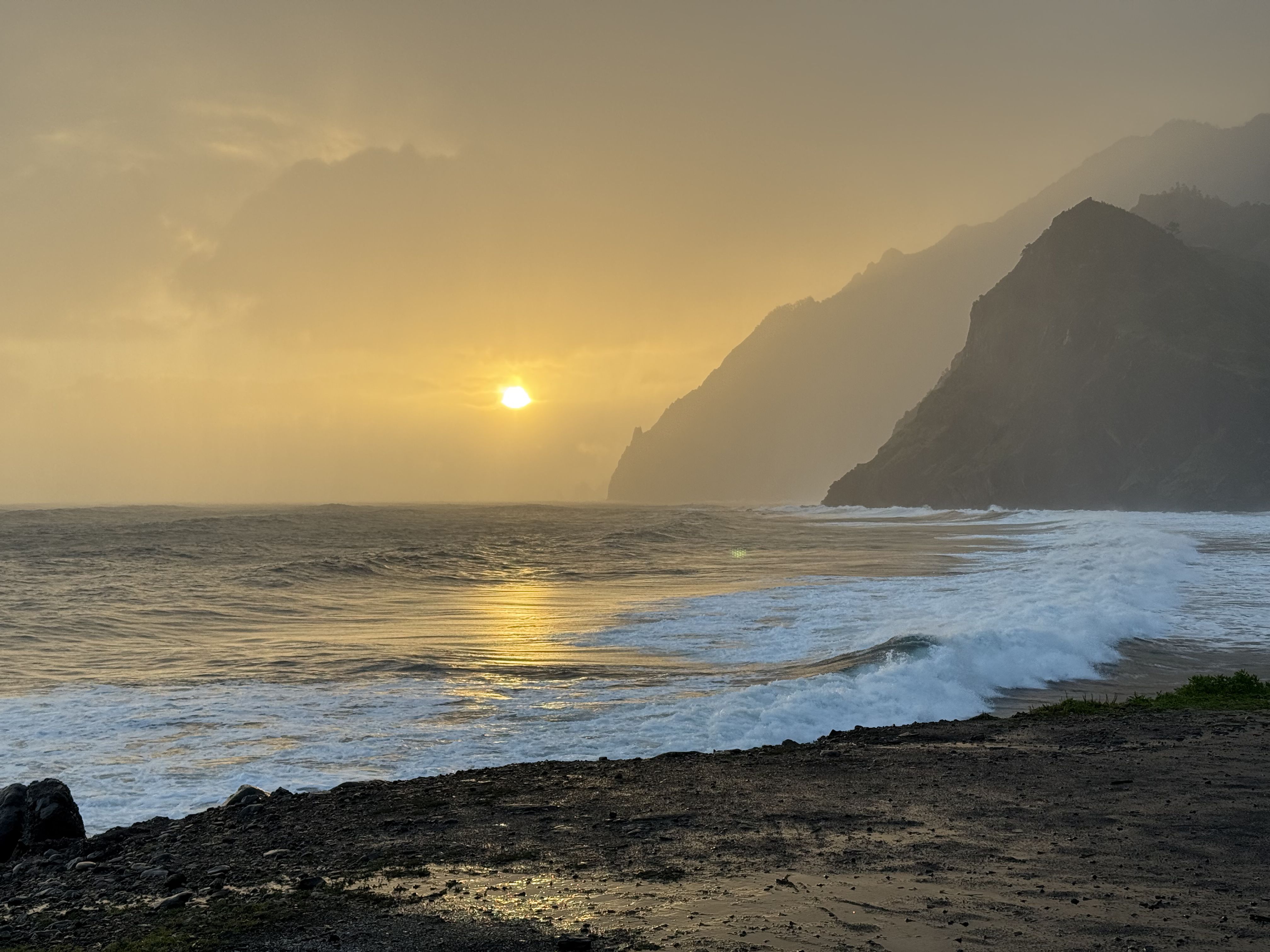 photo of nature