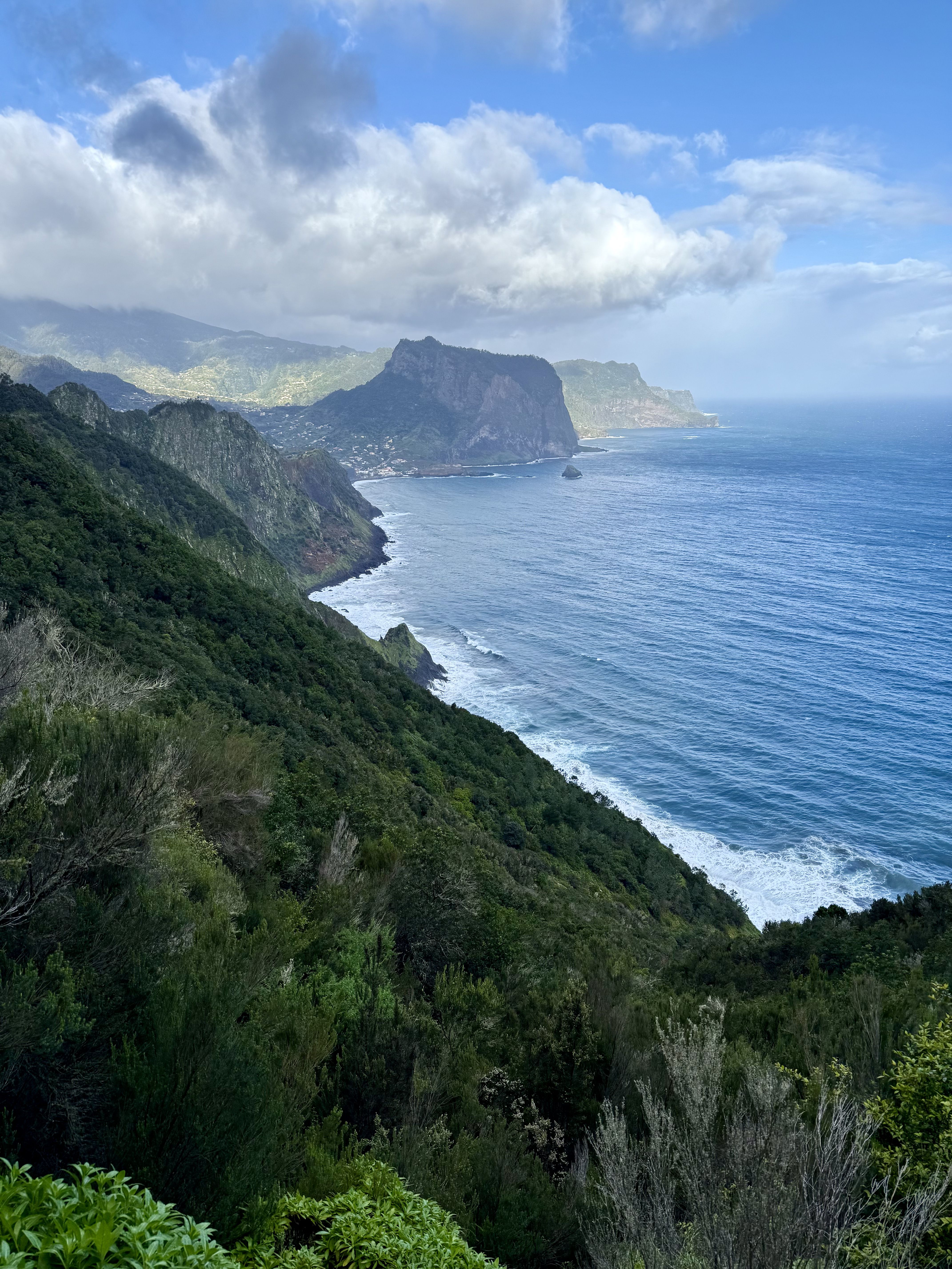 photo of nature