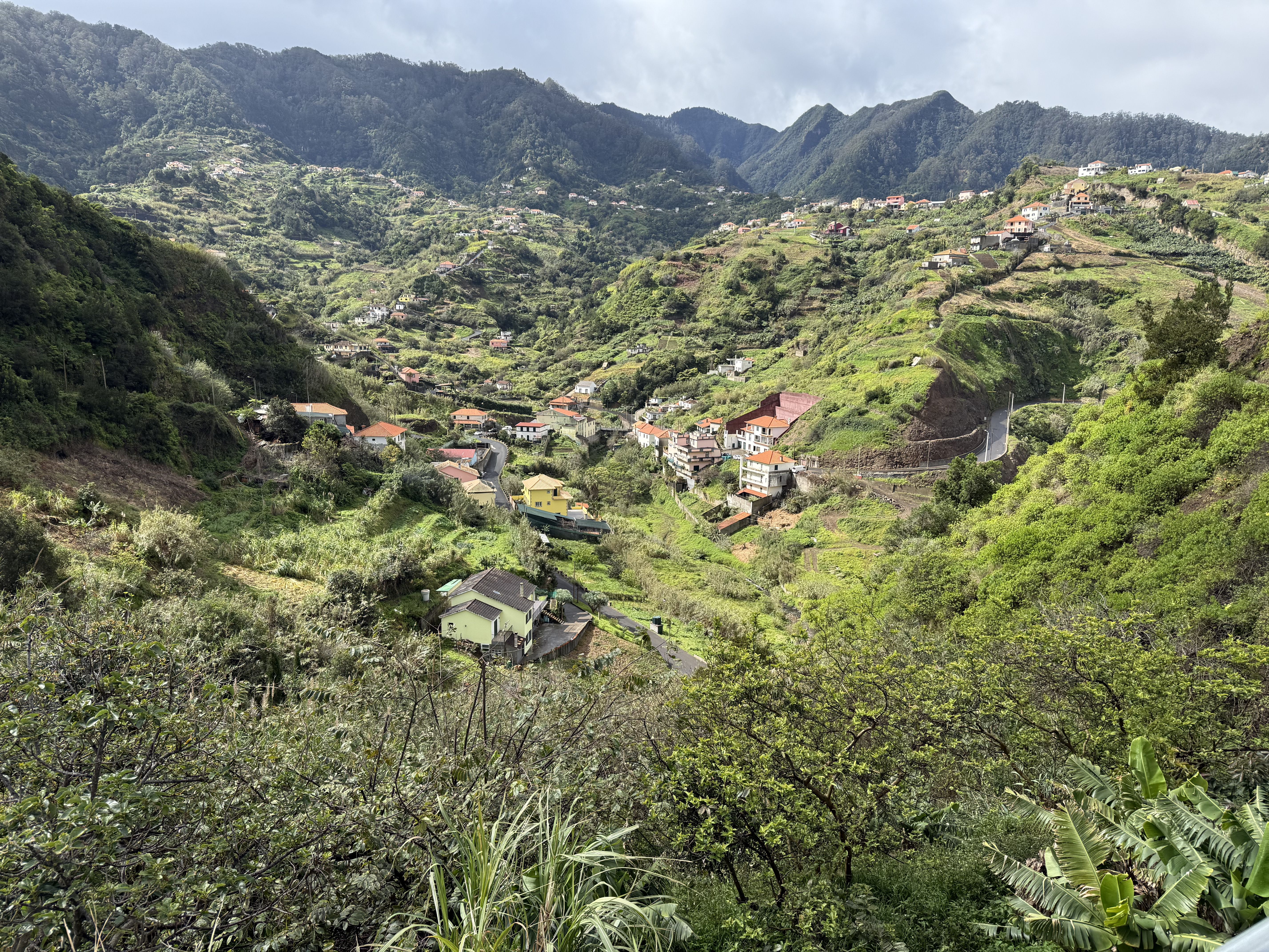 photo of nature