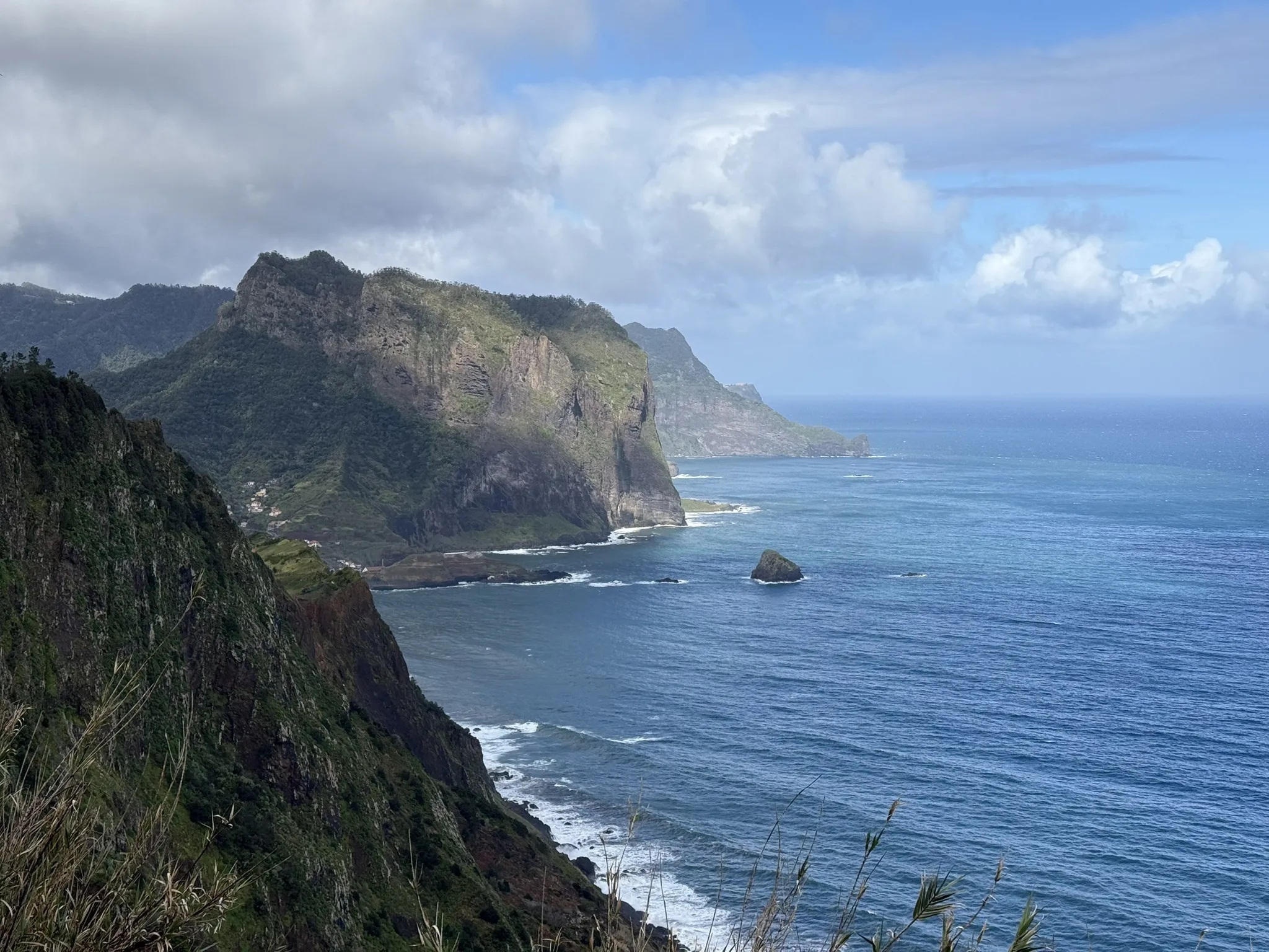 photo of nature