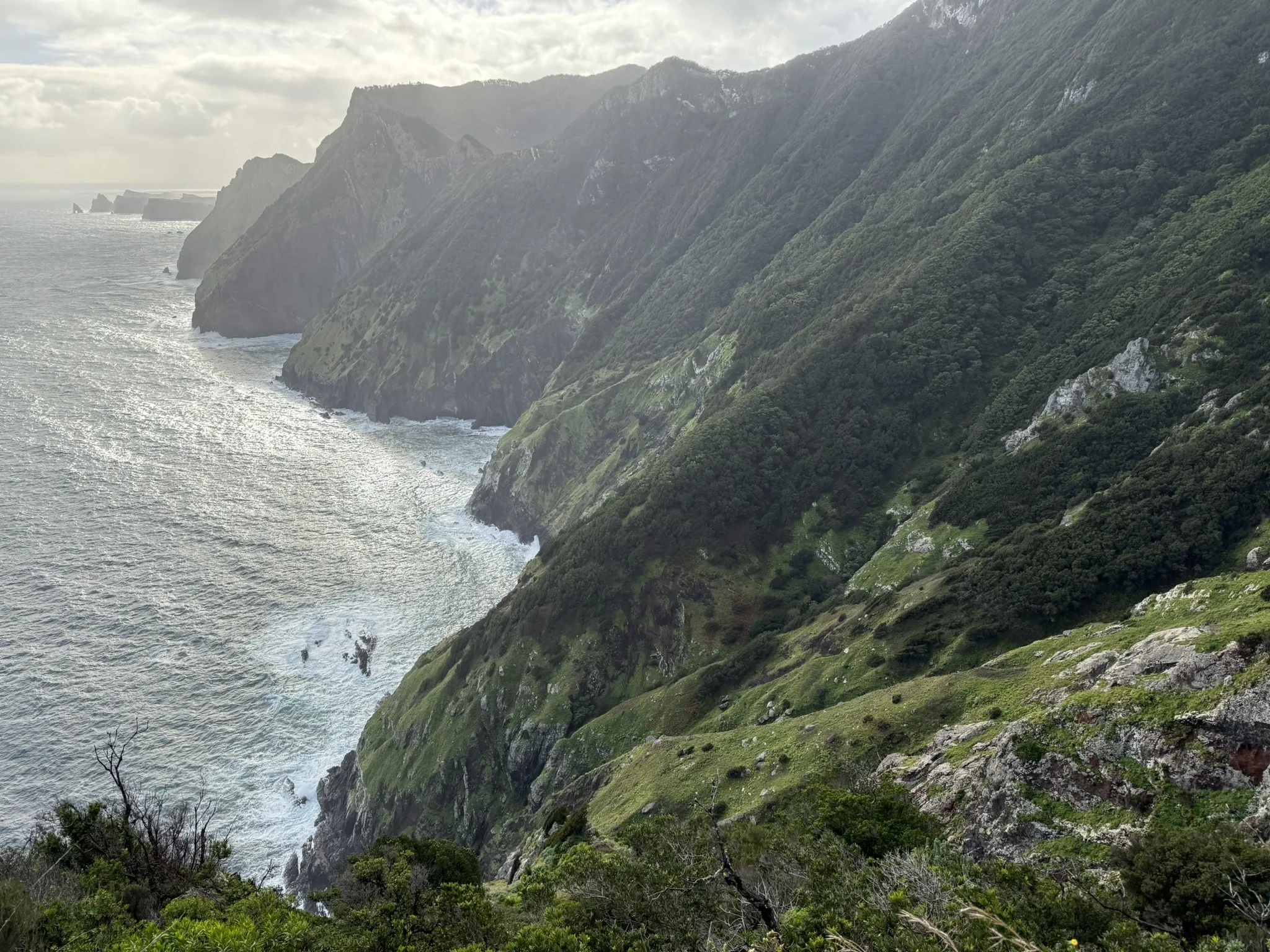 photo of nature