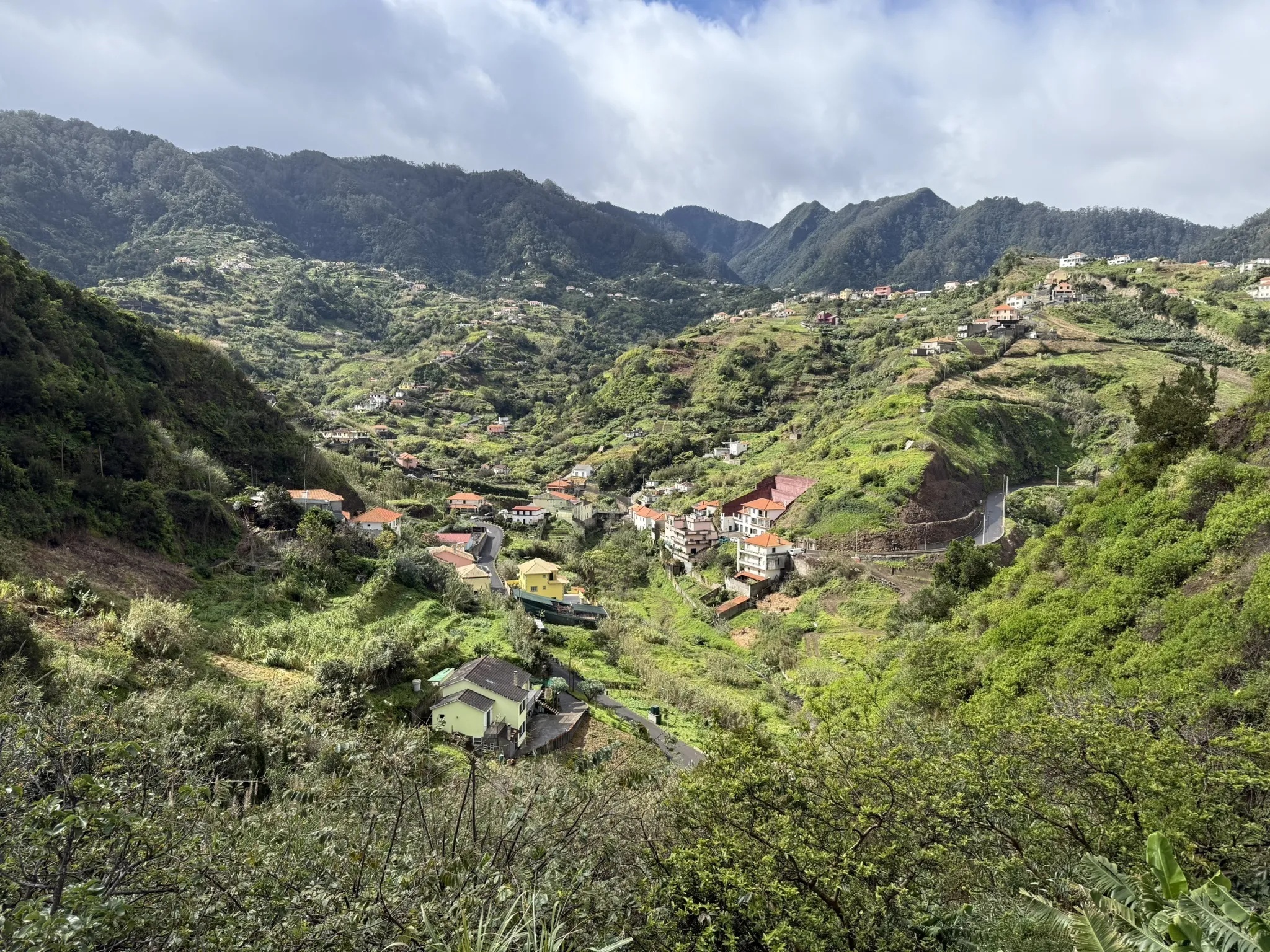 photo of nature
